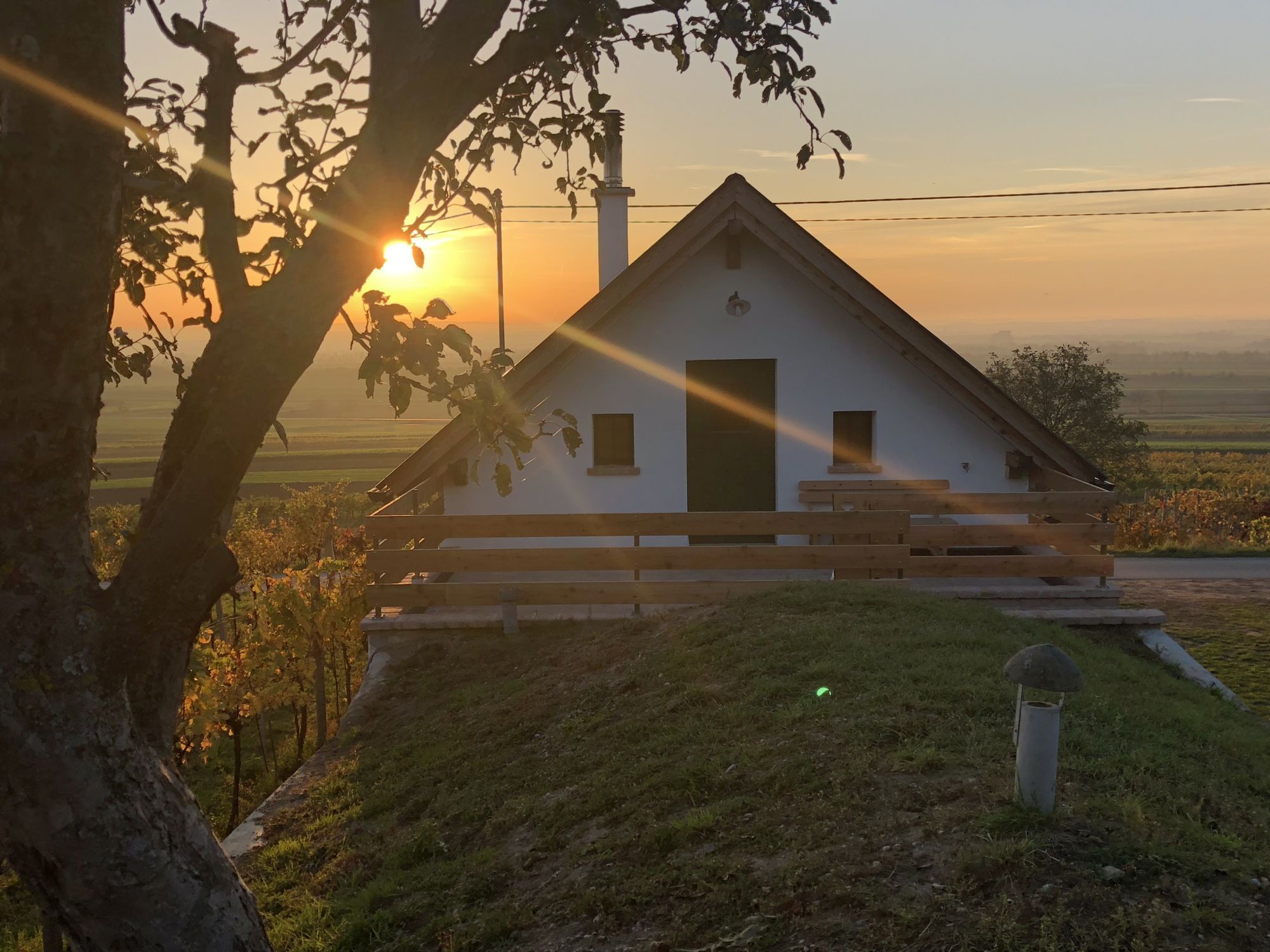 Malý domček pri západe slnka so stromom v popredí.