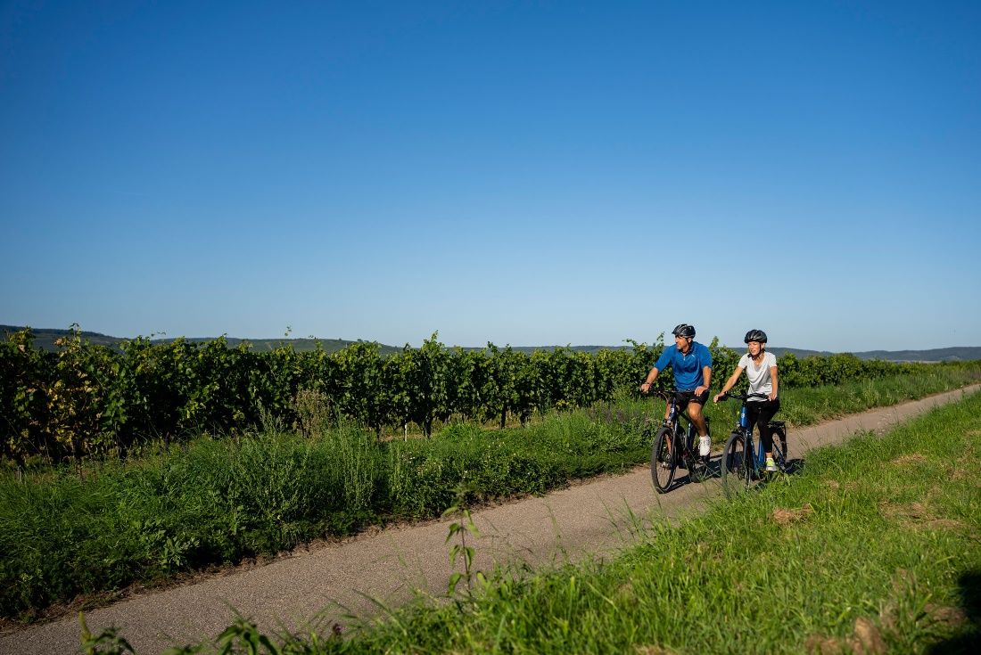 Cyklistika v Kamptal