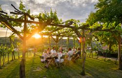 Vínne uličky s vínnymi pivnicami a viničom, modrá obloha.