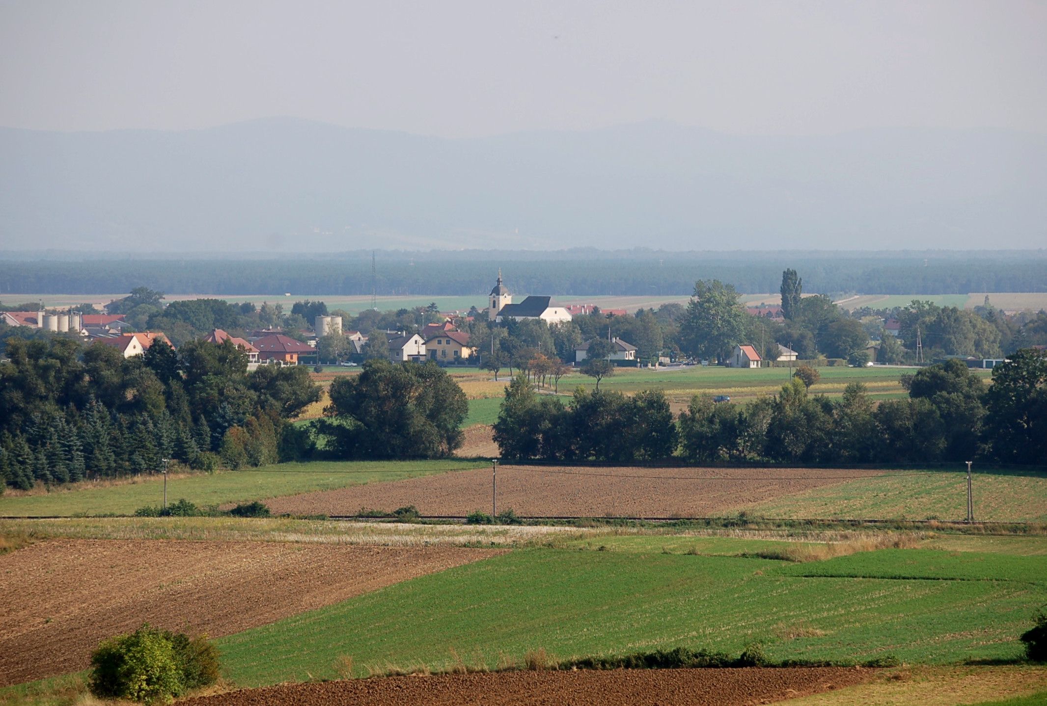 Krajina s poliami a dedinou v pozadí, Weikersdorf am Steinfelde.