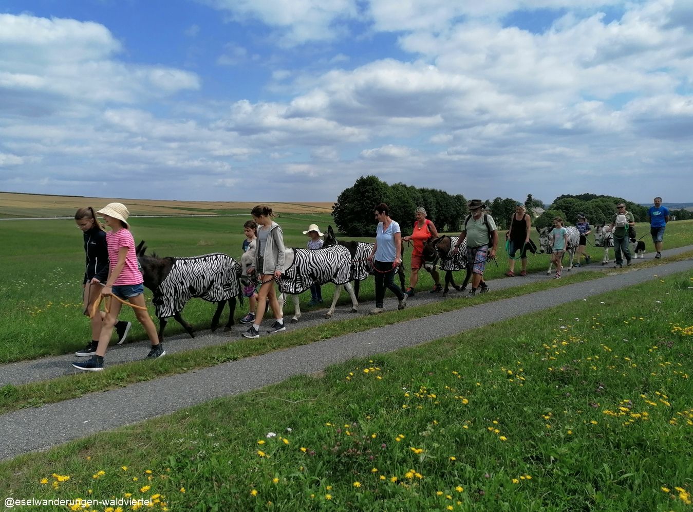 Trekking na oslovi