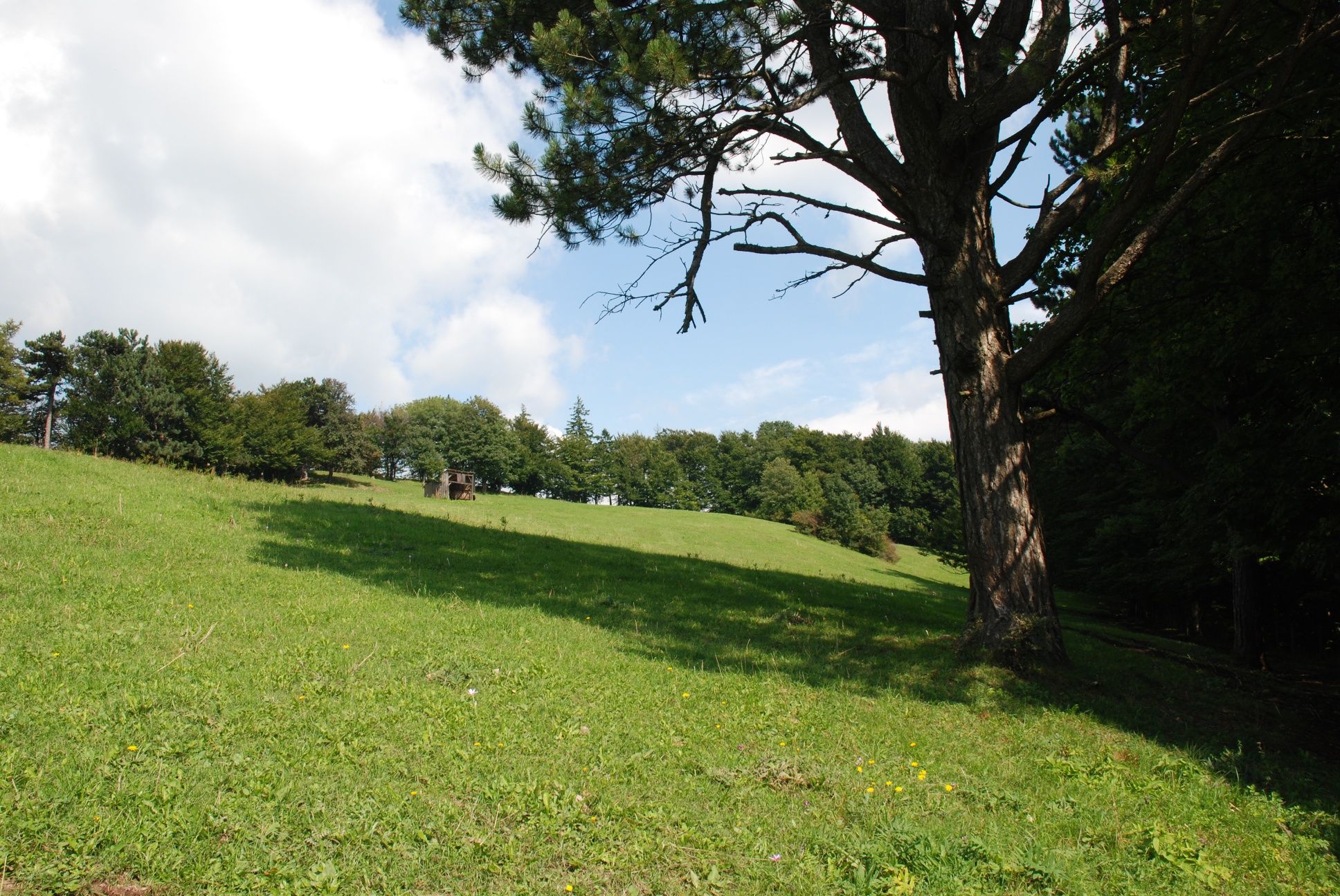 Lúka pod Mittagskogel