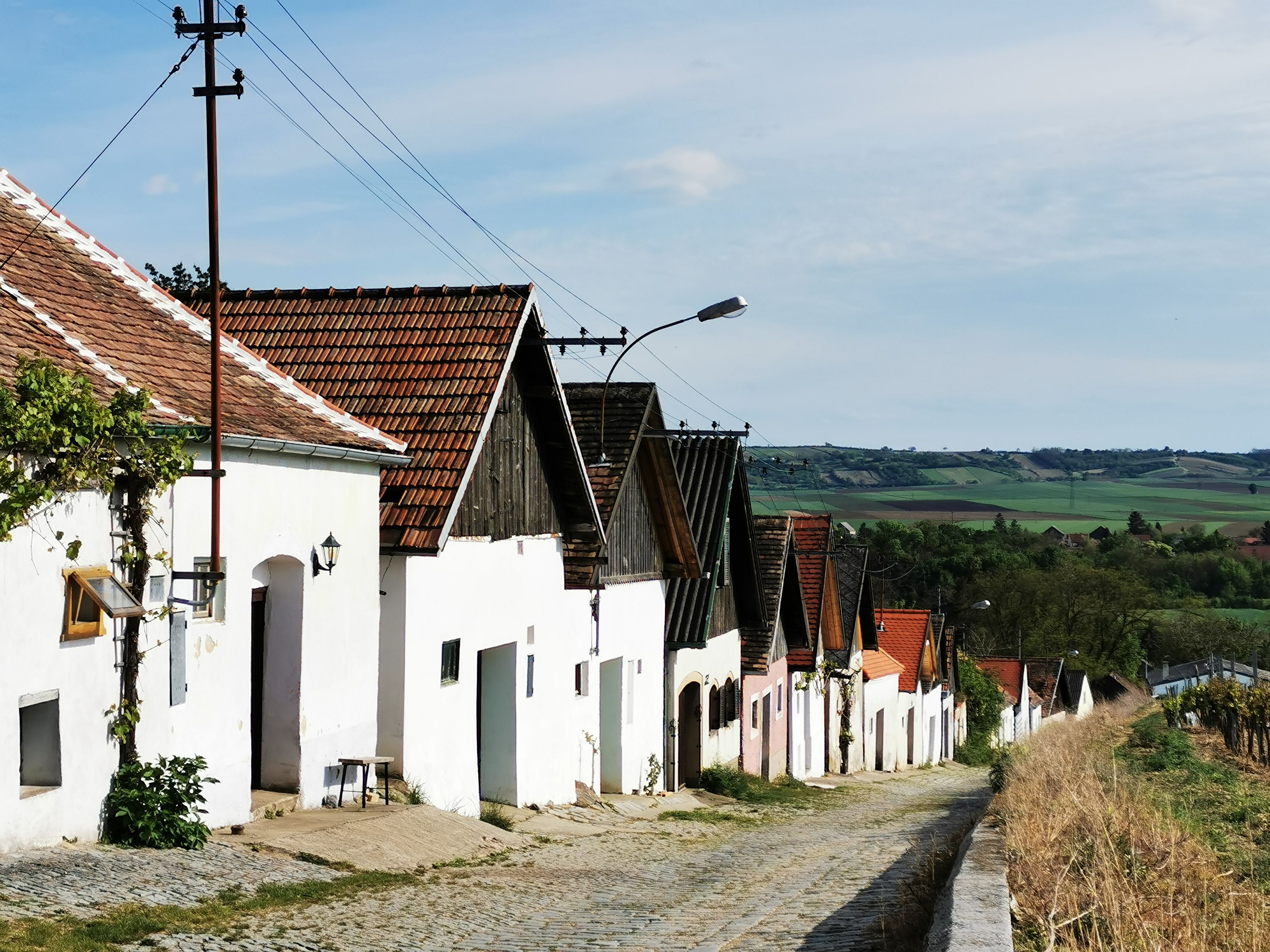 Rad vínnych pivníc v Haugsdorfe s červenými strechami a bielymi fasádami, obklopený zelenou krajinou.
