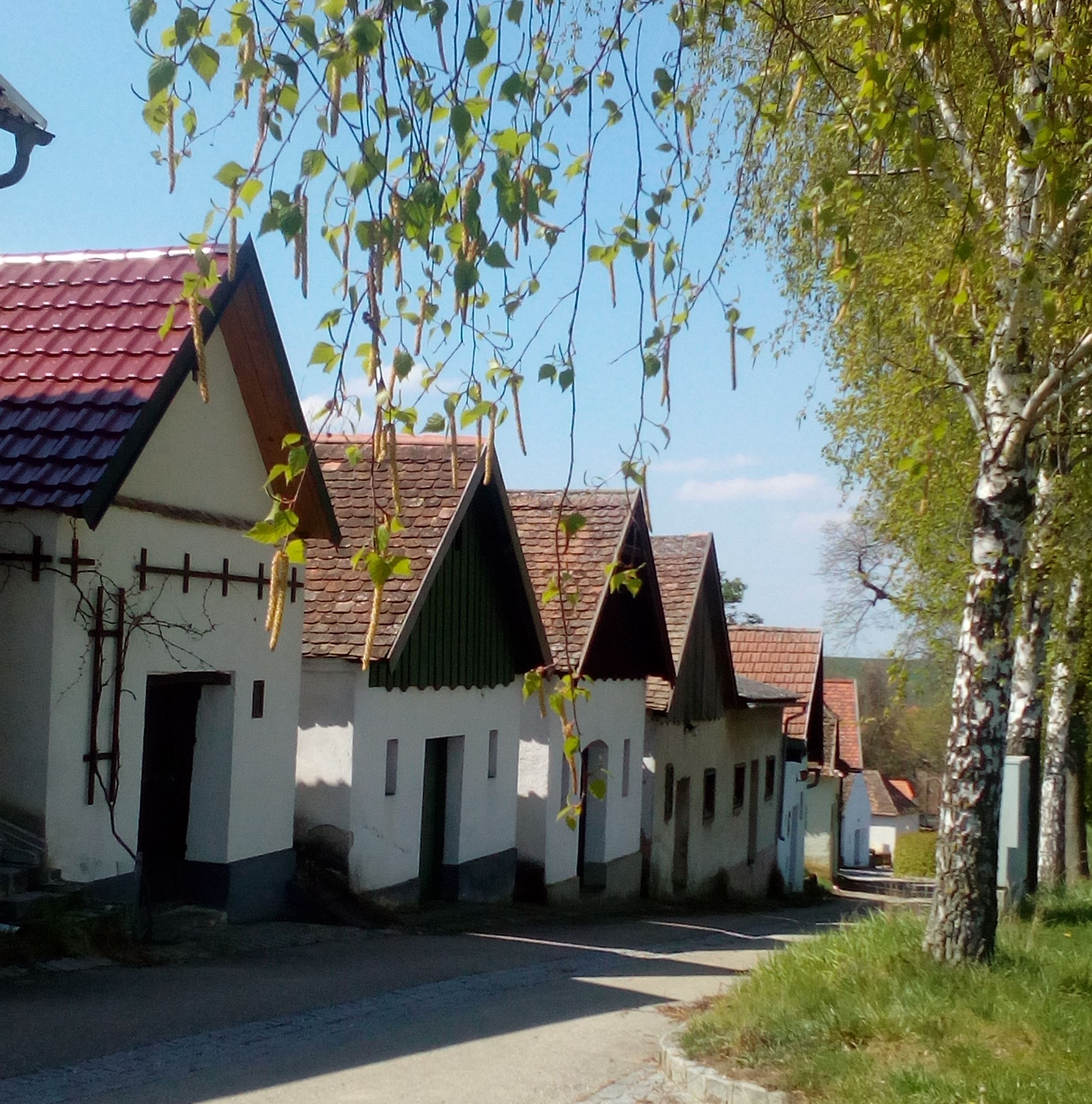 Rad tradičných vínnych pivníc v Kammersdorfe, obklopený stromami a modrou oblohou.