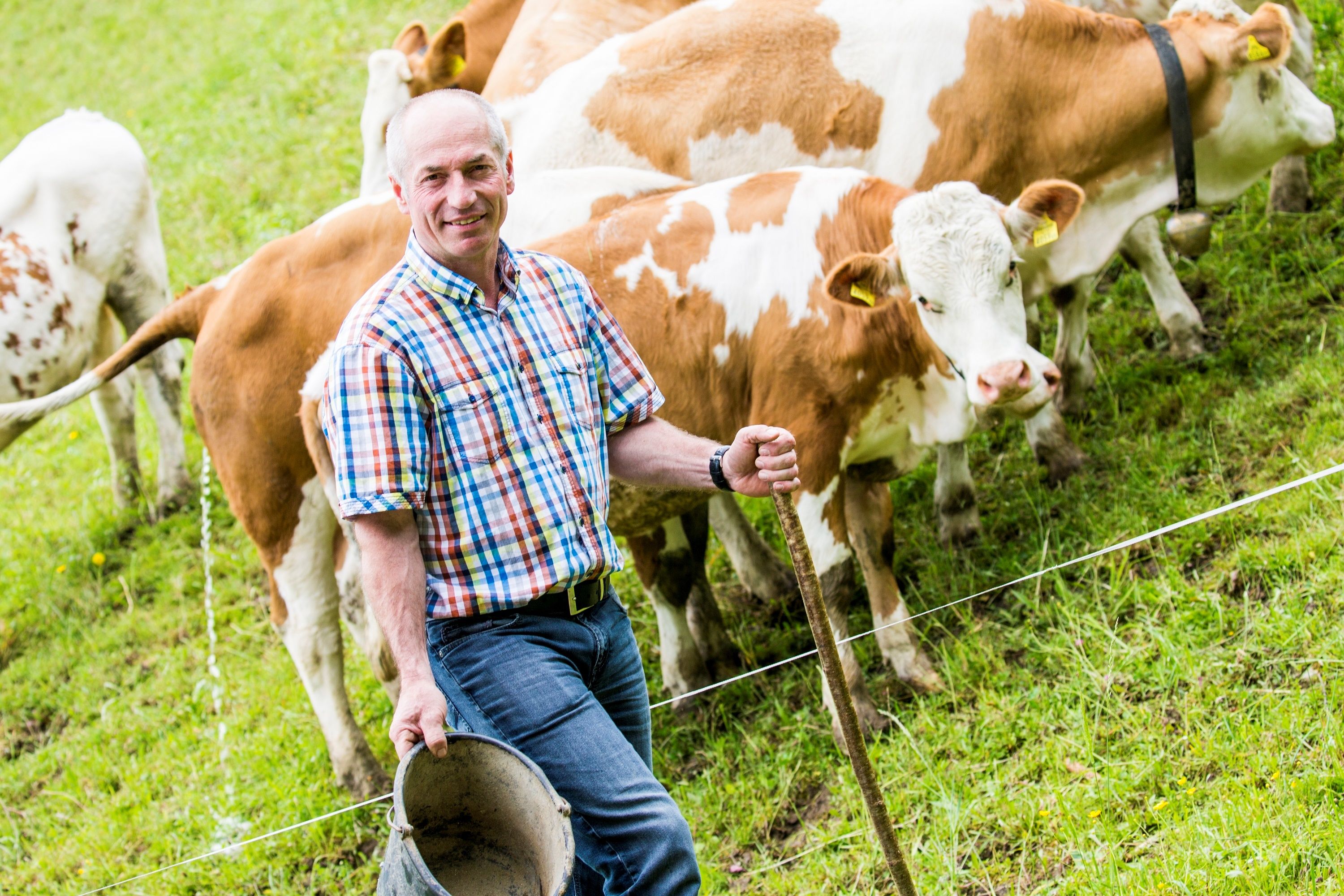 Ekologická farma Hinterstockreith