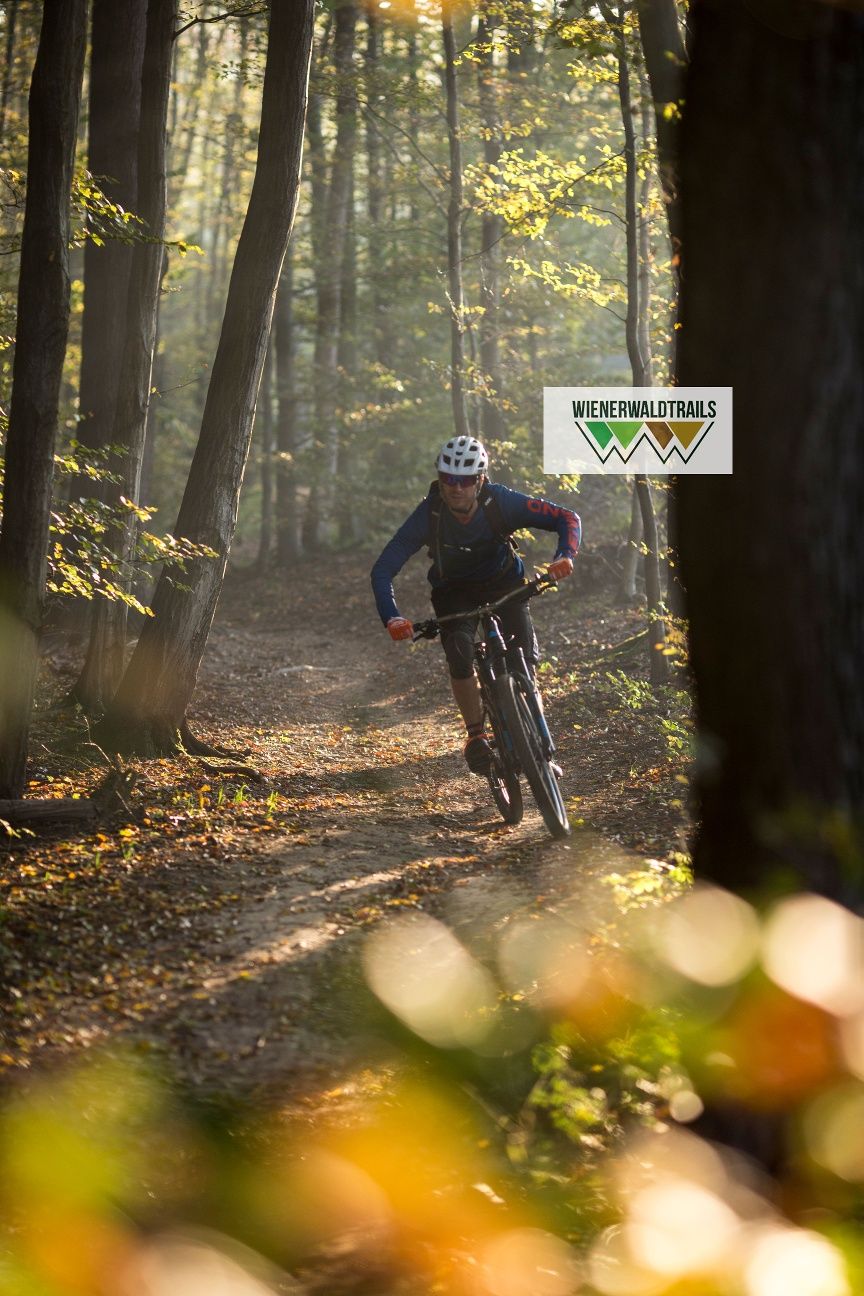 MTB Viedenský les