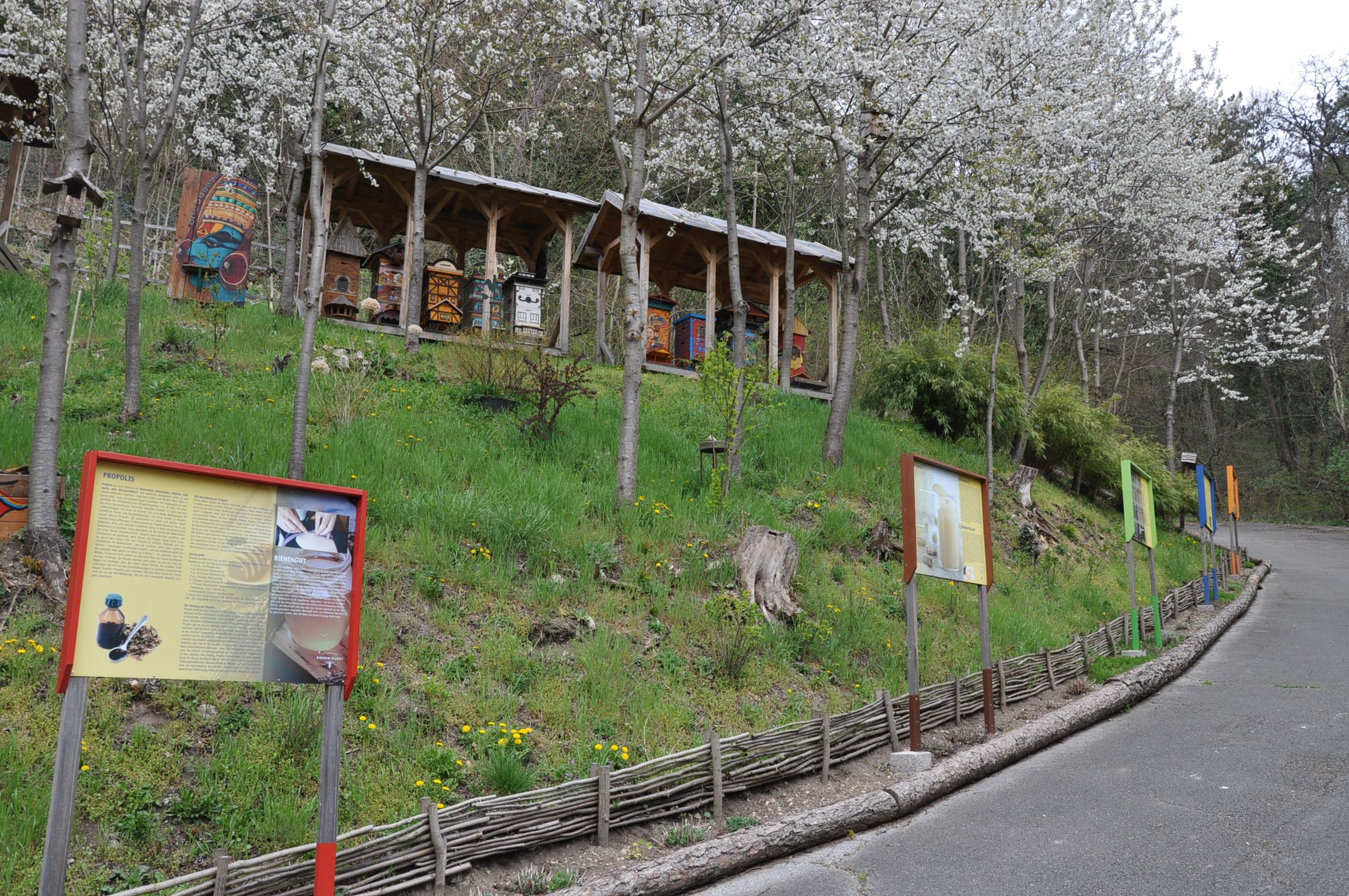 Náučný včelí chodník s informačnými tabuľami a úľmi pod kvitnúcimi stromami.