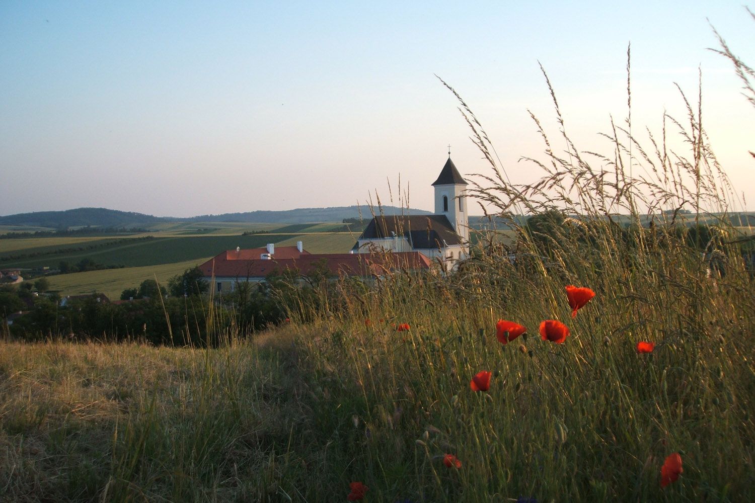 Krajina s kostolom a makmi v popredí.