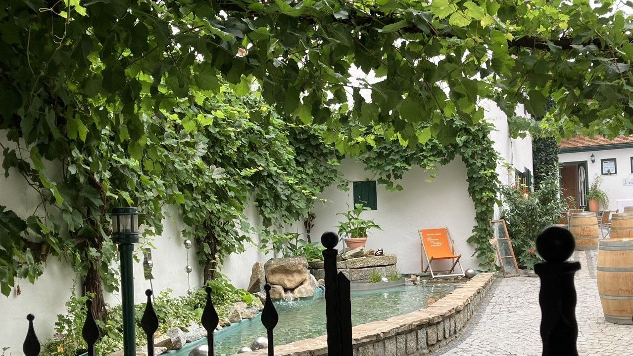 Vnútorný dvor s viničom, malým jazierkom a ležadlom.