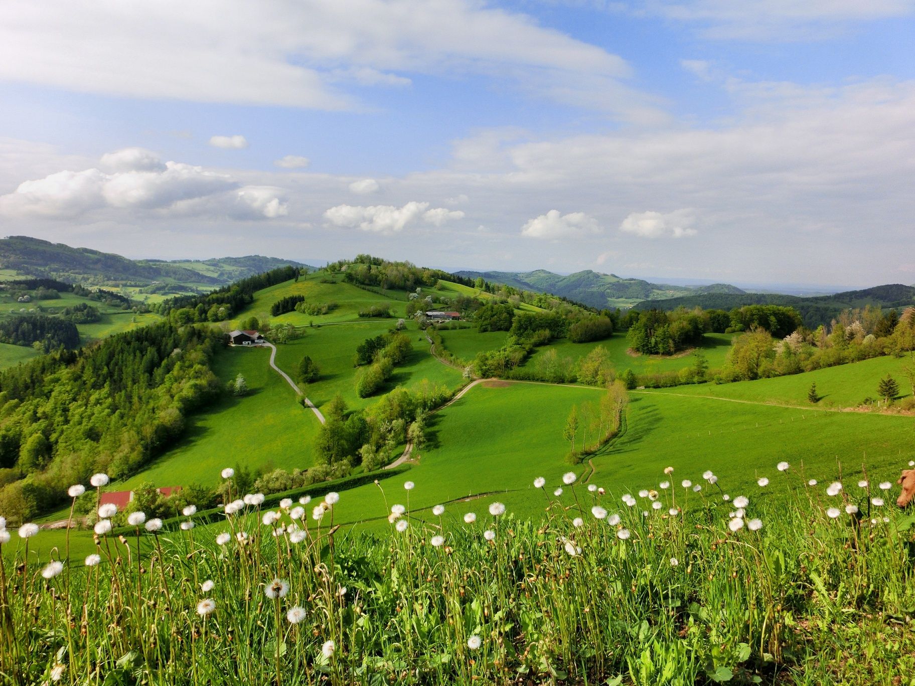 Zobraziť "Stuben"