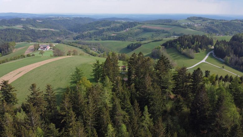 Krajina s kopcami, lesmi a poľami smerom na južné Burgenlandsko a východné Štajersko.