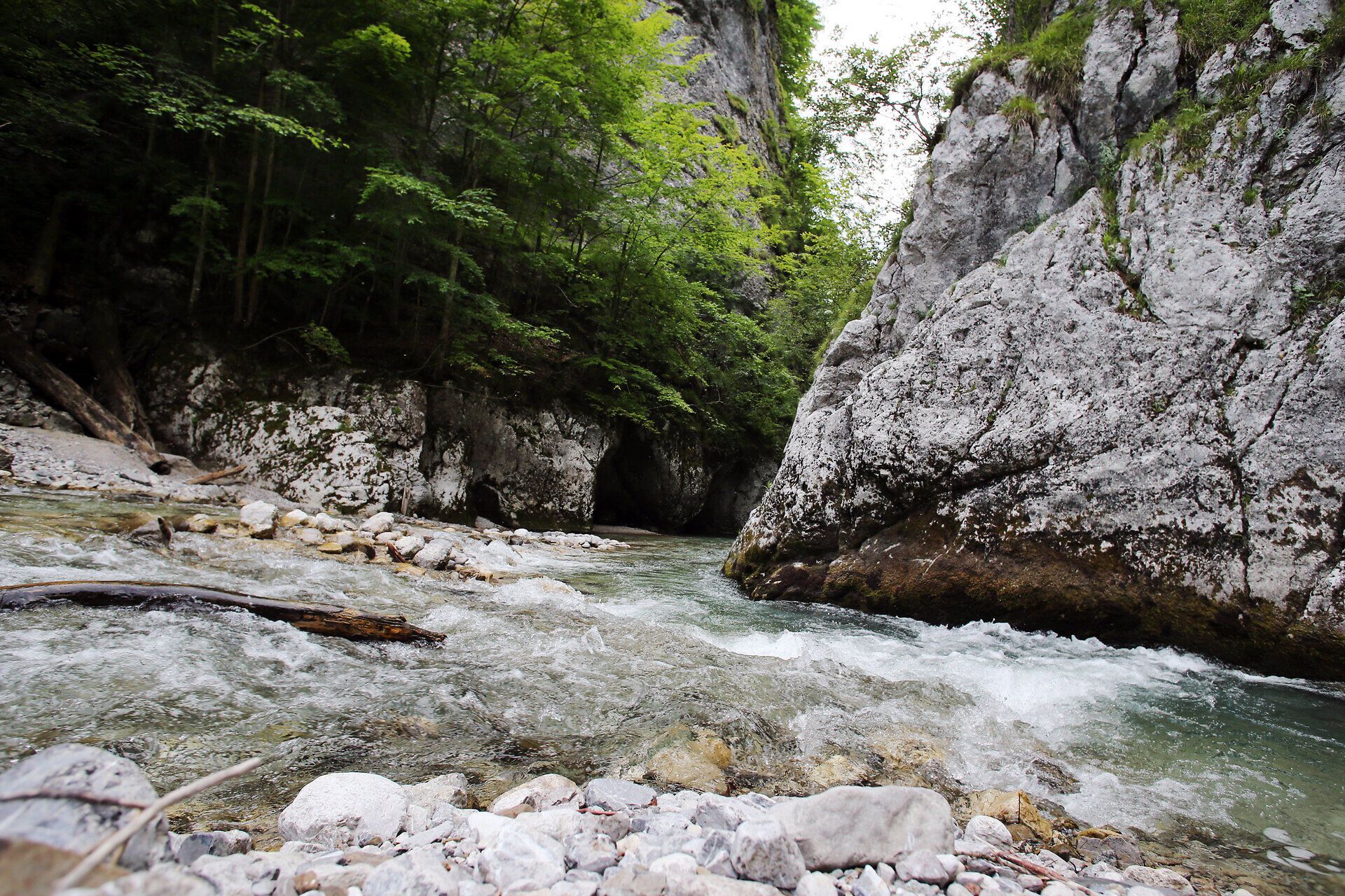 Der klare Fluss schlängelt sich durch die beeindruckende Felslandschaft, umgeben von üppigem Grün und majestätischen Bäumen. Hier, im Naturpark Ötscher Tormäuer, entfaltet sich die Schönheit der Natur in voller Pracht und lädt zu unvergesslichen Erlebnissen ein.
