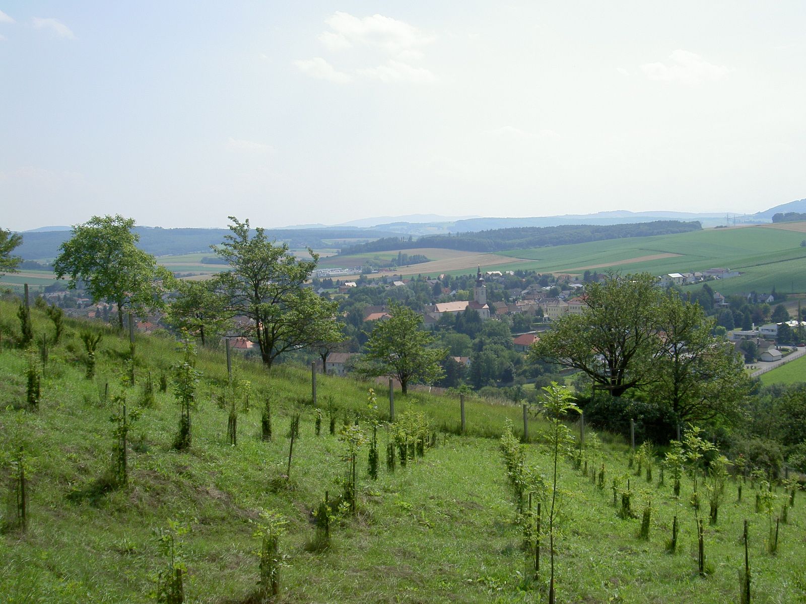 Krajina s kopcami, stromami a dedinou v pozadí.