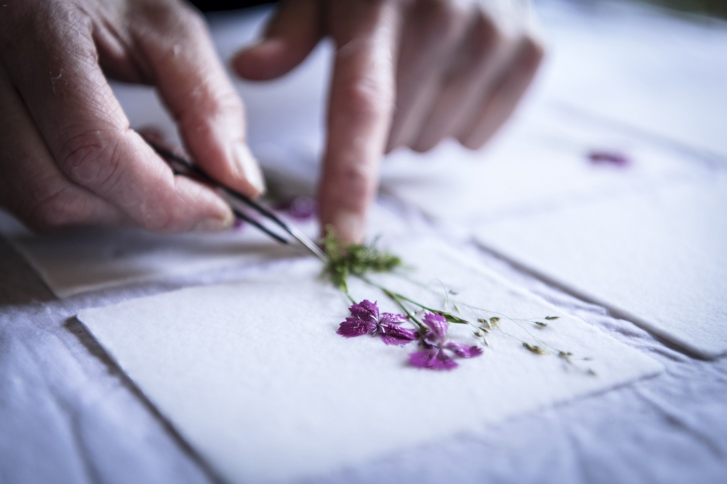 Detailný záber na ruky, ktoré používajú pinzetu na umiestnenie kvetov na papier.