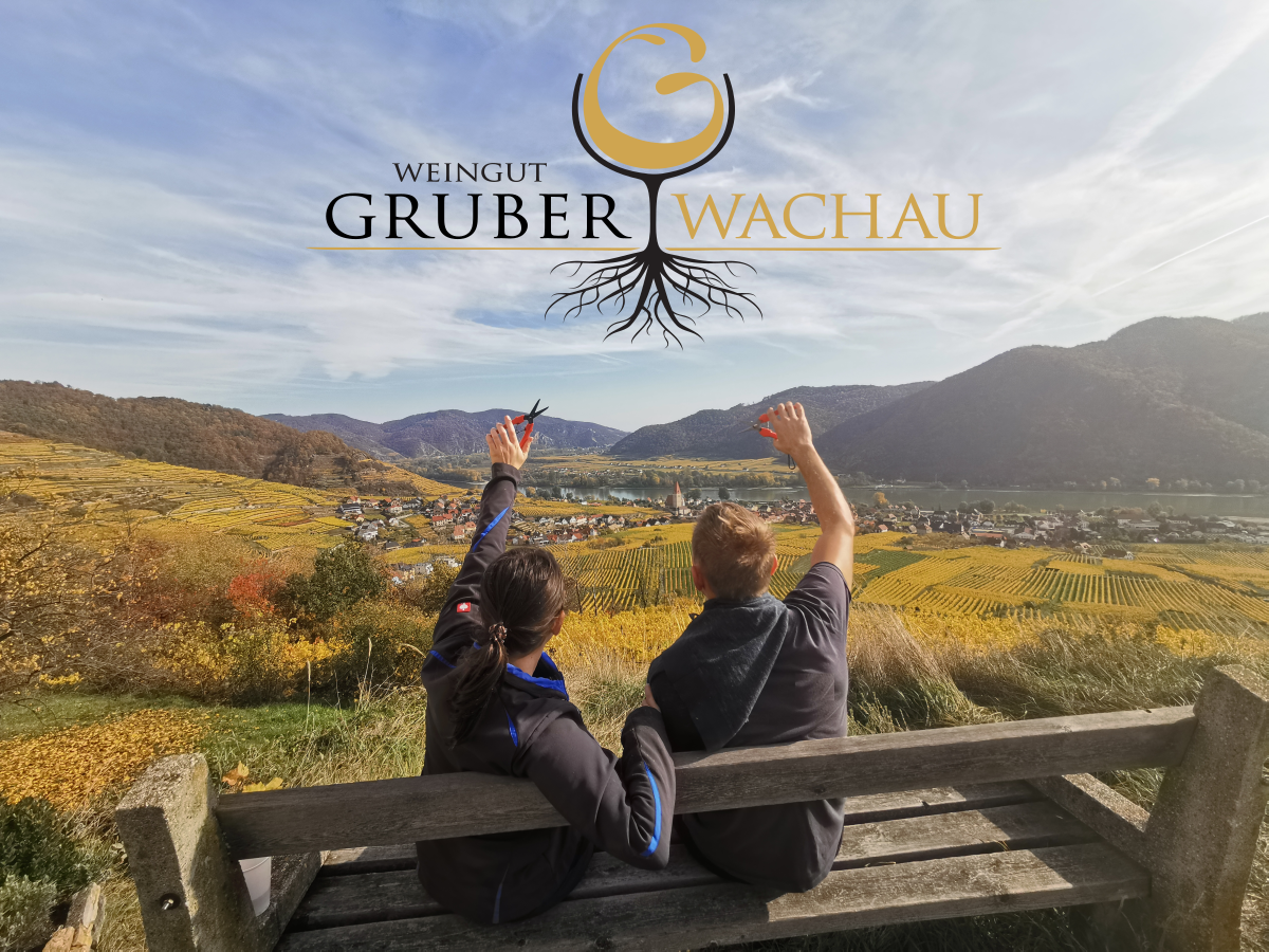 Dvaja ľudia sedia na lavičke a pozerajú sa na vinice vo Wachau. V pozadí vidno kopce a rieku.