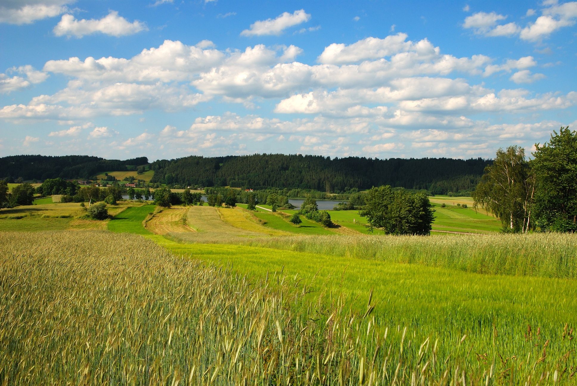 Foto: Archív Waldviertel Tourismus; Foto: Reinhard Mandl