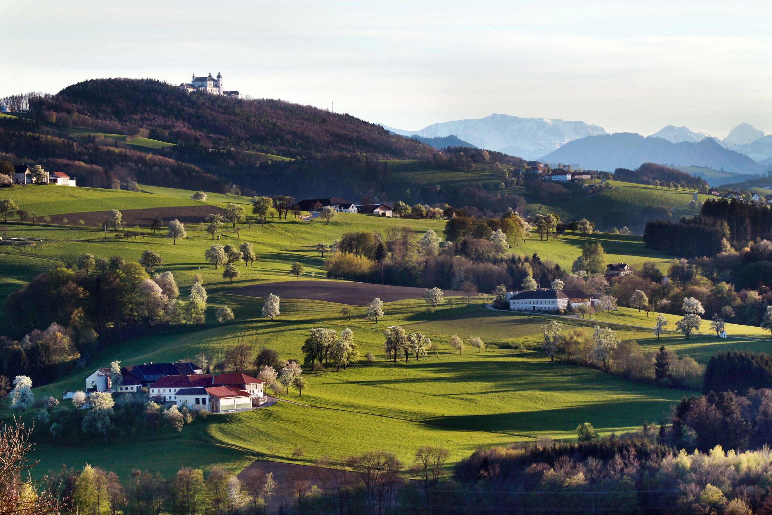 Pútnická bazilika Sonntagberg 