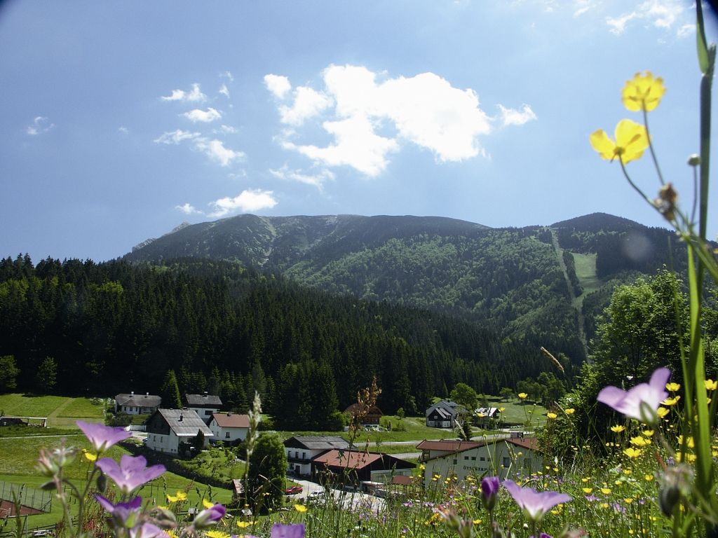Horská krajina s kvetinovou lúkou a dedinou v popredí, les a hory v pozadí.