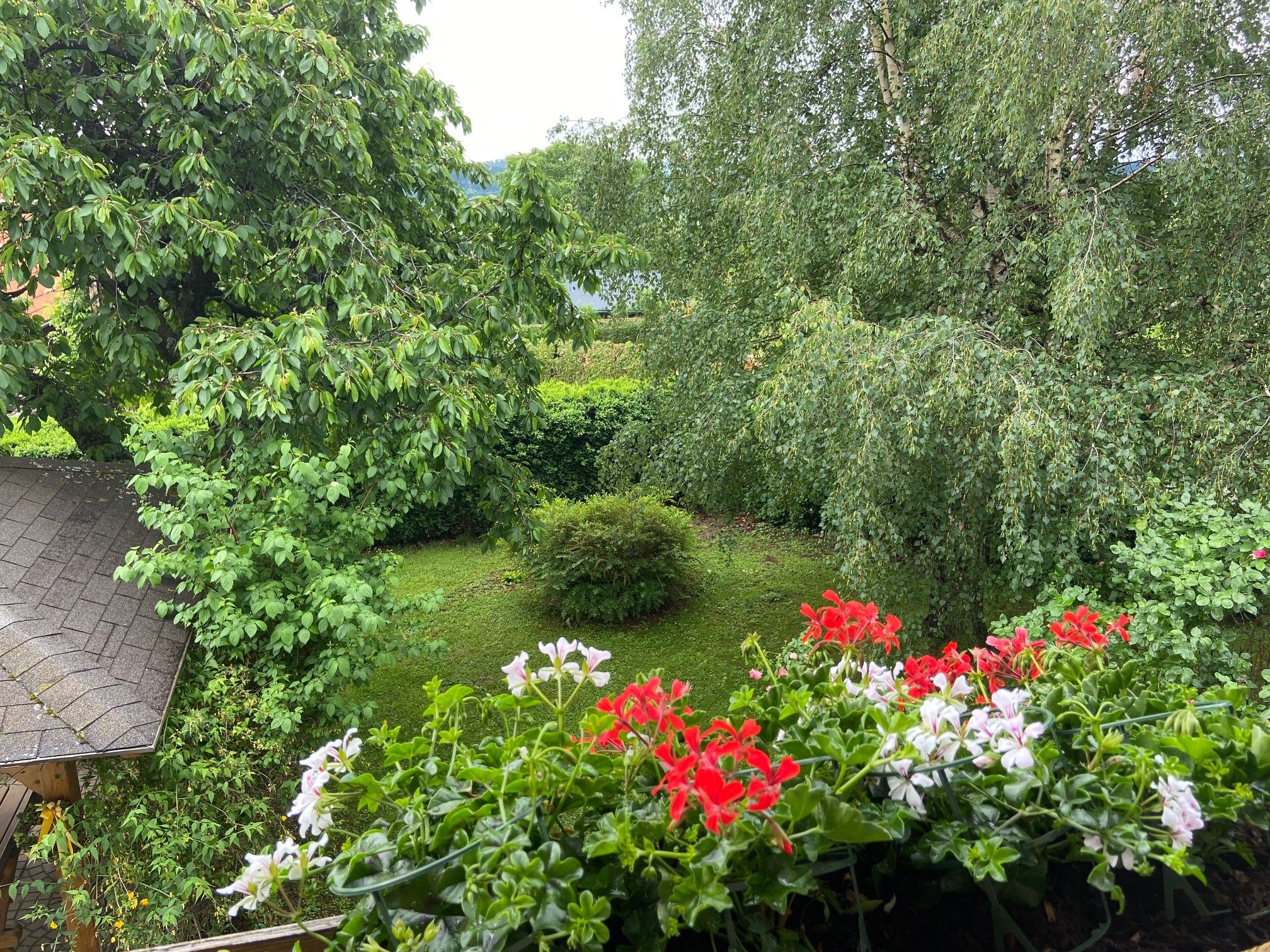 Pohľad z balkóna na zelenú záhradu so stromami a červenými a bielymi kvetmi v popredí.