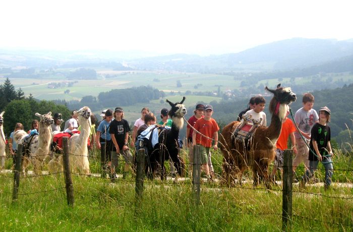 Skupina ľudí a lám na turistickom chodníku s krajinou v pozadí.