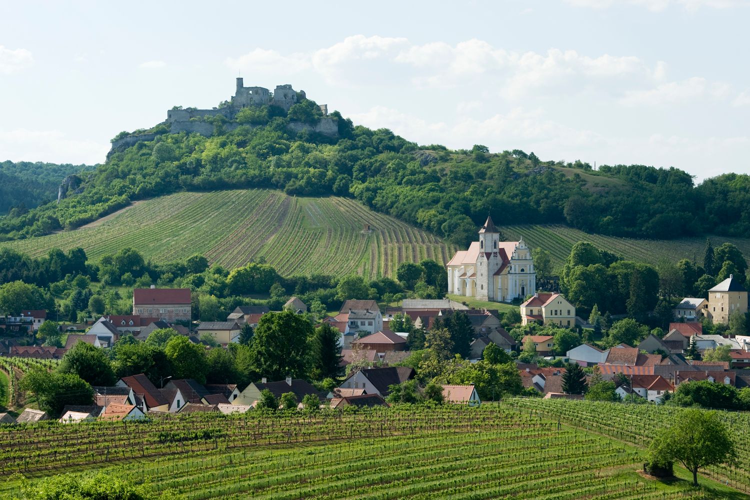 Pohľad na zrúcaninu hradu Falkenstein na kopci, obklopenú vinicami a dedinou s kostolom.