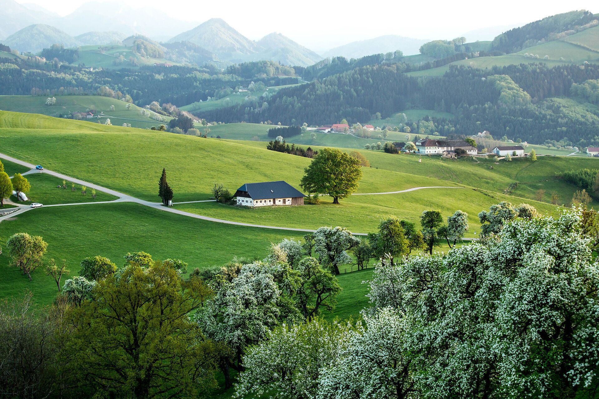 Die sanften Hügel des Alpenvorlands laden zu unvergesslichen Erlebnissen ein. Saftige Wiesen und blühende Obstbäume schaffen eine malerische Kulisse, die den Sommer in seiner schönsten Form präsentiert. Hier, wo die Natur in voller Pracht erblüht, findet jeder Besucher sein persönliches Paradies.