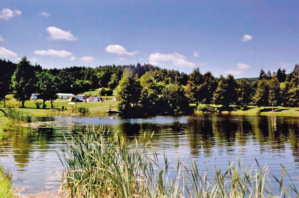 Idylický kemp so stanmi na brehu jazera, obklopený stromami a lúkami pod modrou oblohou.