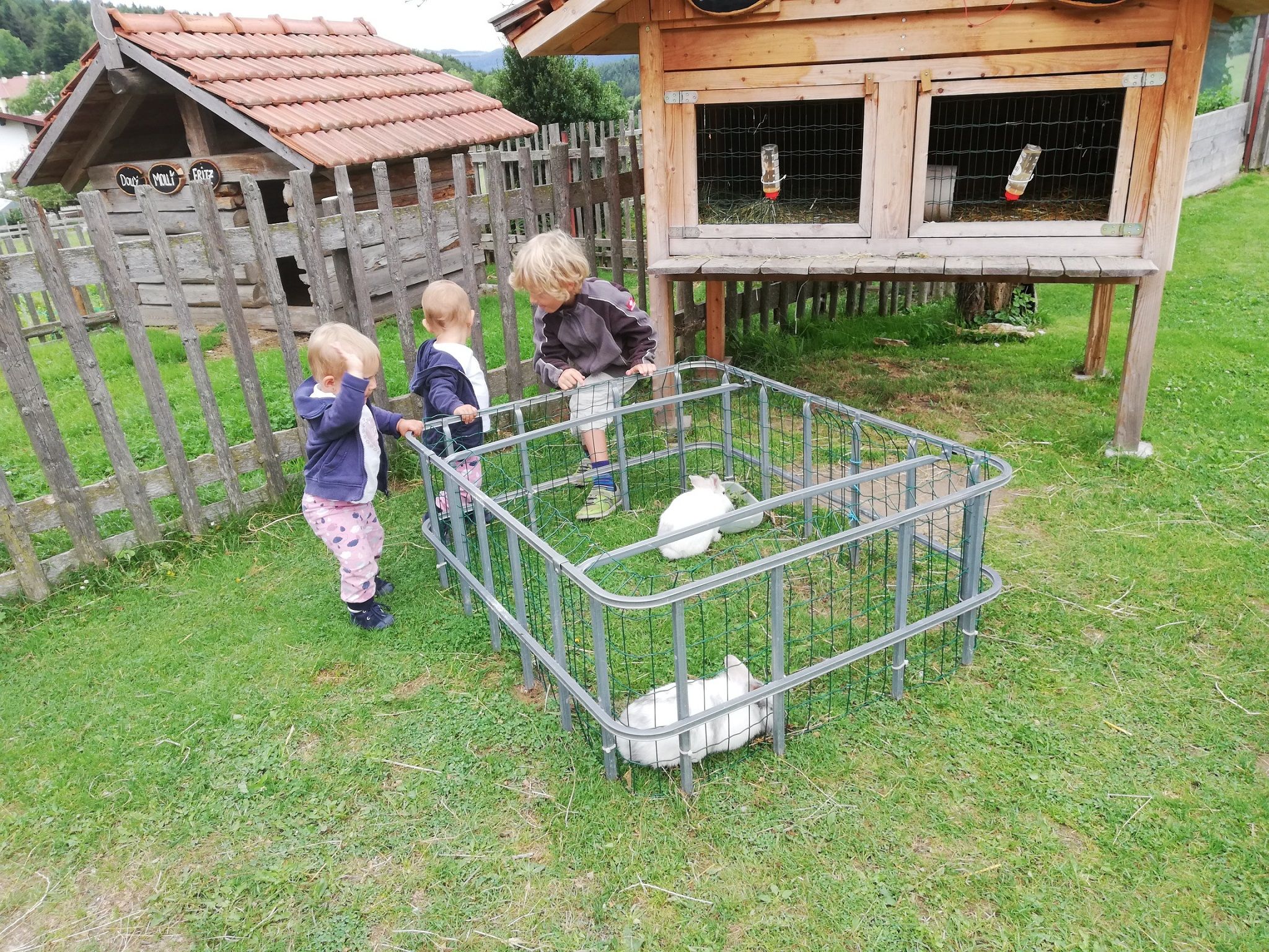 Tri deti stoja pri malej ohrade s bielymi králikmi na lúke.