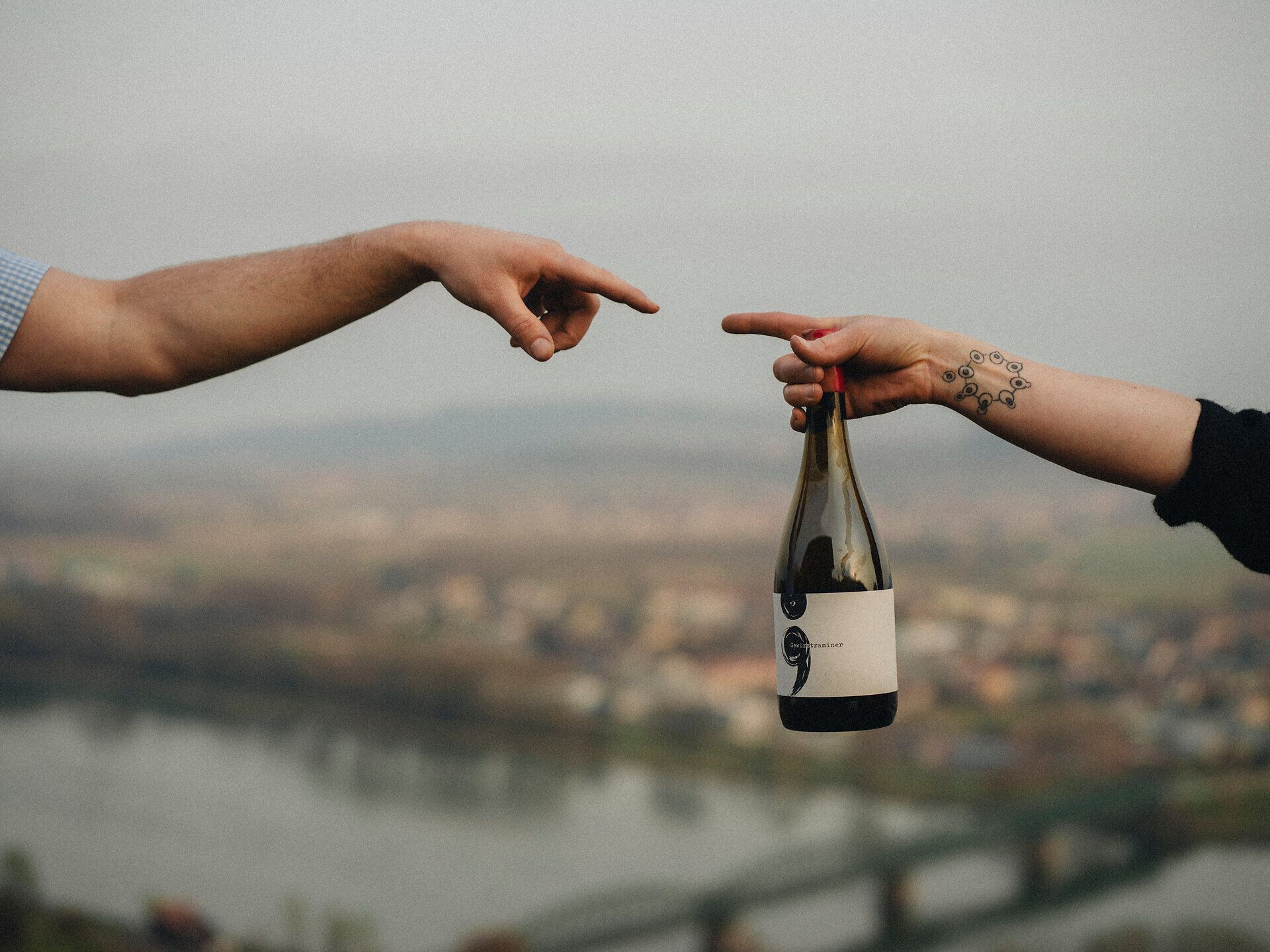 Ein romantischer Moment in der Natur, wo zwei Hände sich über einem edlen Wein berühren. Die sanften Hügel und die ruhige Donau im Hintergrund schaffen eine perfekte Kulisse für unvergessliche Erlebnisse. Hier wird die Freude am Leben und die Schönheit der Umgebung spürbar.