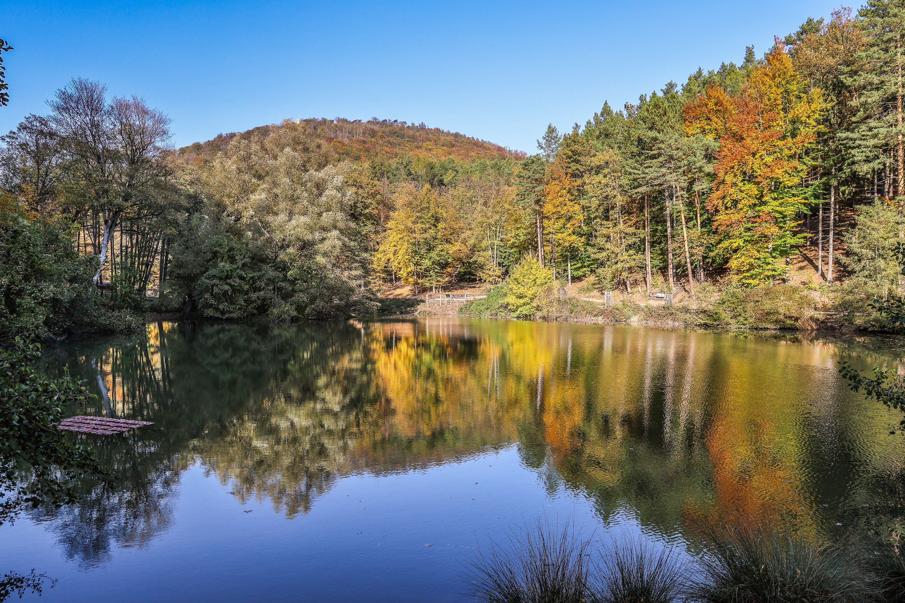 Prírodný park Sparbach