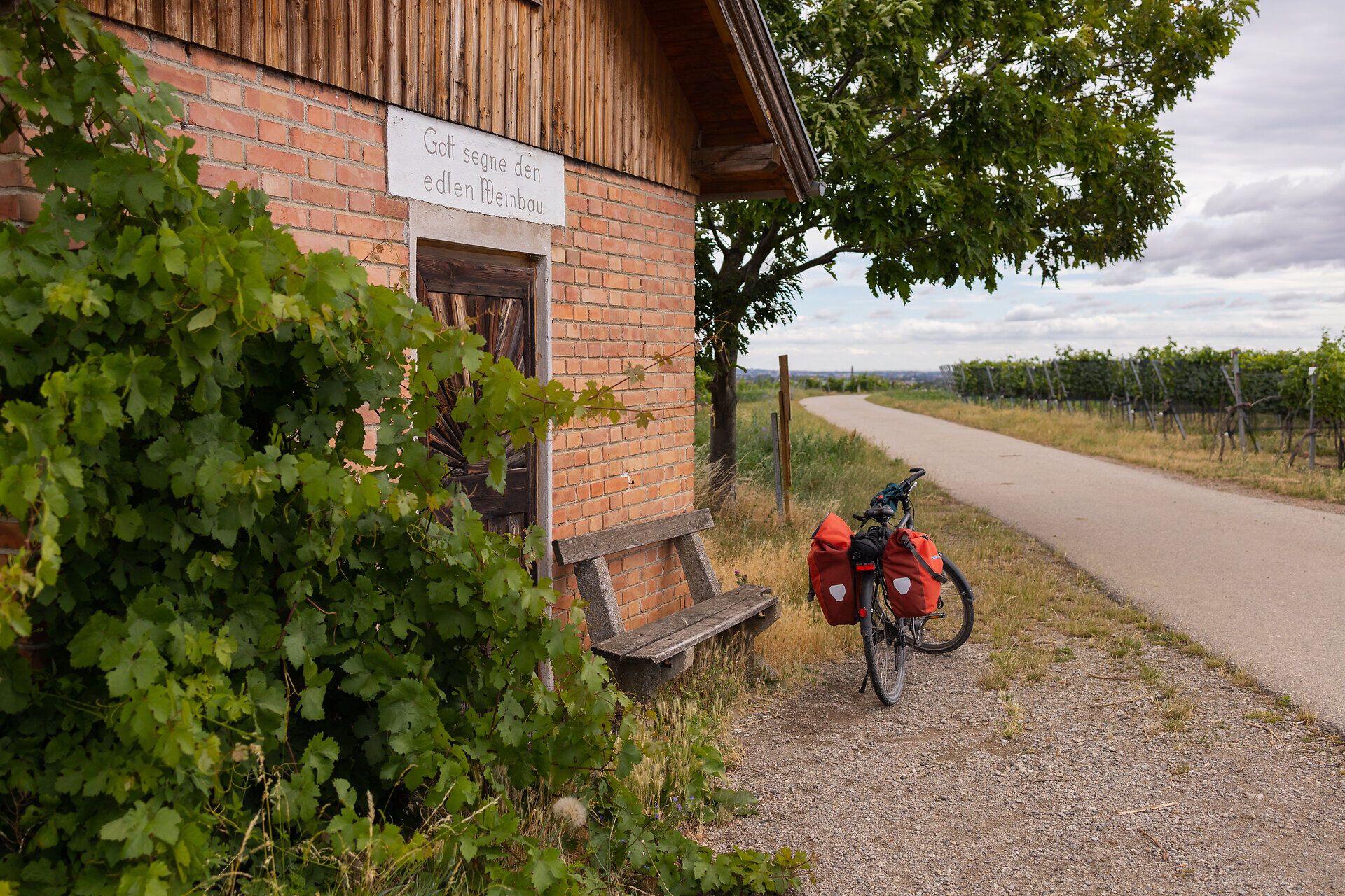 Ein malerischer Radweg schlängelt sich durch die sanften Hügel des Wienerwaldes, umgeben von üppigen Weinreben und grünen Bäumen. Die frische Luft und die ruhige Atmosphäre laden dazu ein, eine wohlverdiente Pause auf der Bank zu genießen und die Schönheit der Natur zu bewundern.