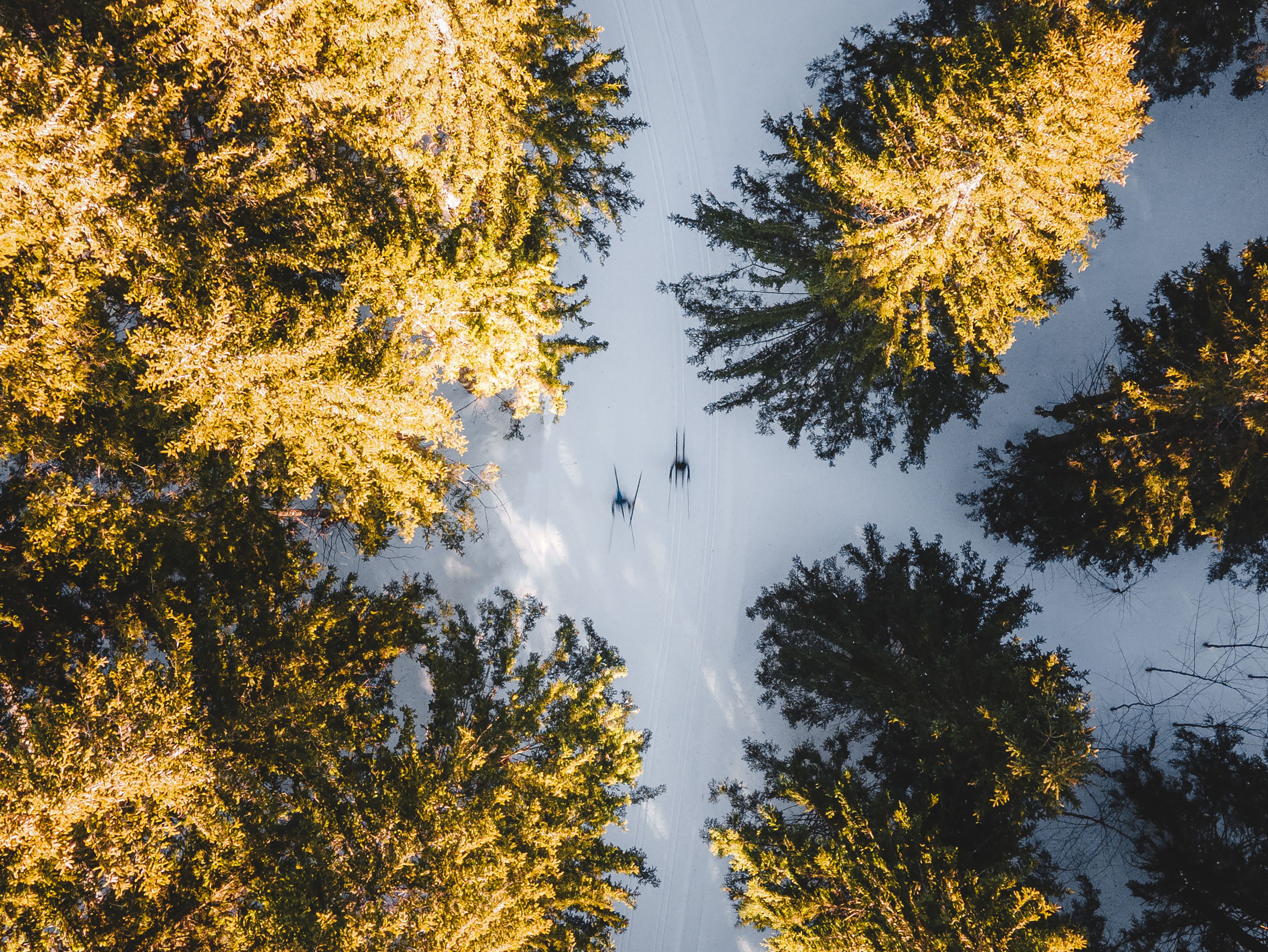 JW_Oetscher_DJI_0857.jpg