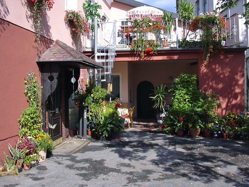 Vchod do penziónu s množstvom rastlín a kvetov.