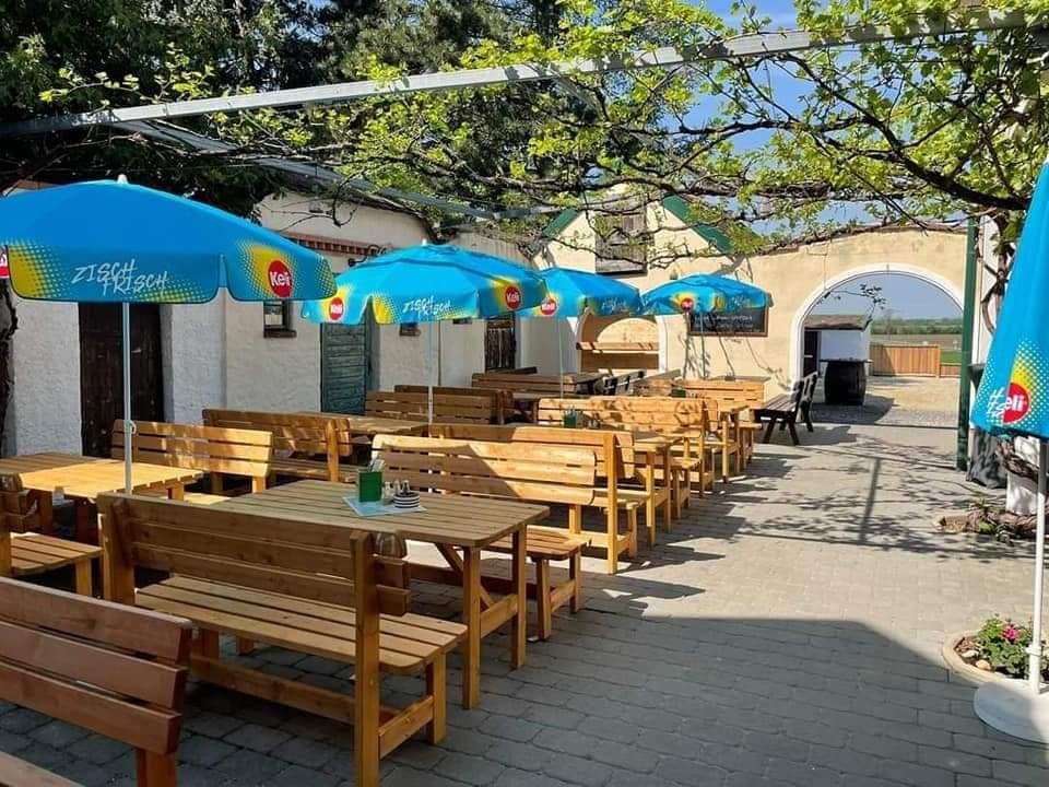 Slnečná záhrada pre hostí s drevenými lavičkami a modrými slnečníkmi.
