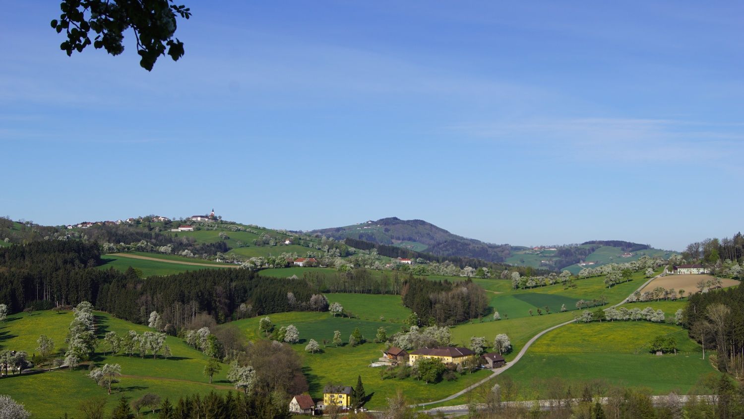 Panoramatický pohľad na Trefflingblickweg