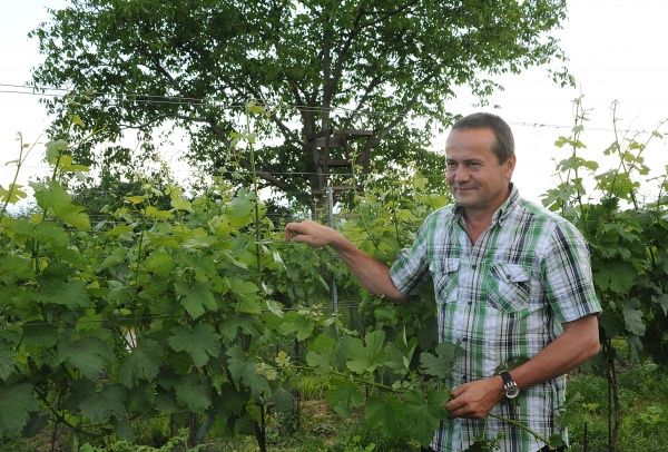 Vinárstvo Leopold Blauensteiner