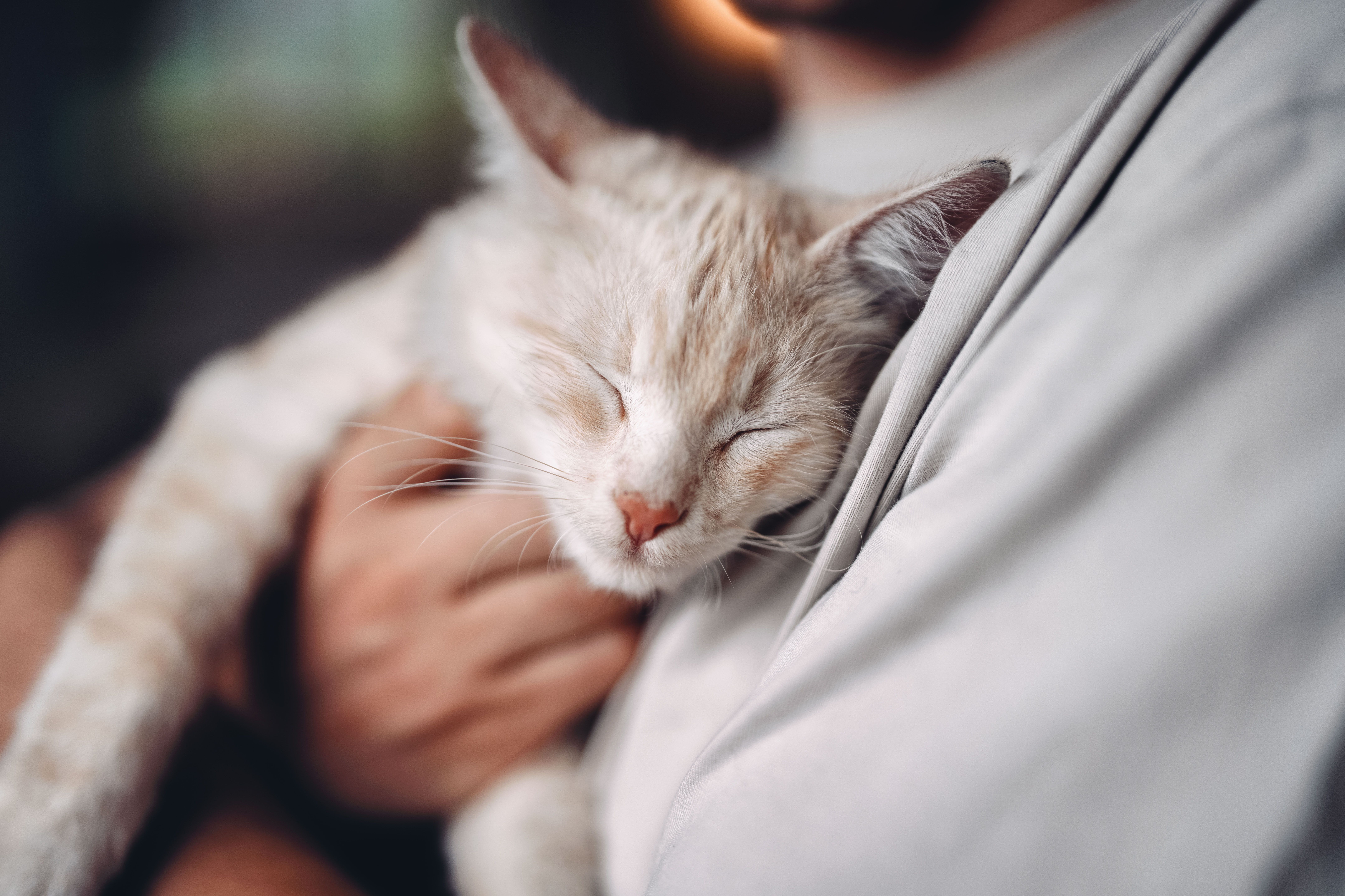 Muštová viecha Resch na Hörlesbergu