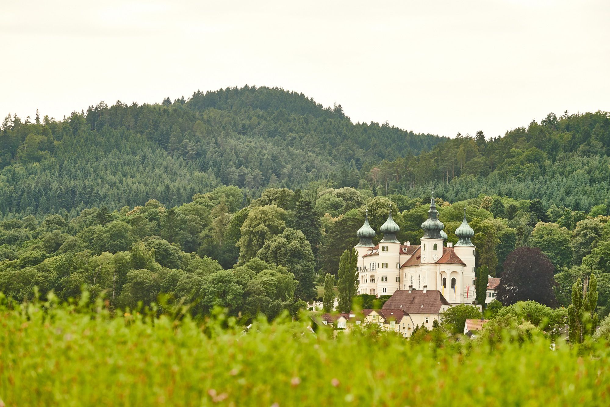 Pohľad na hrad Artstetten obklopený lesmi