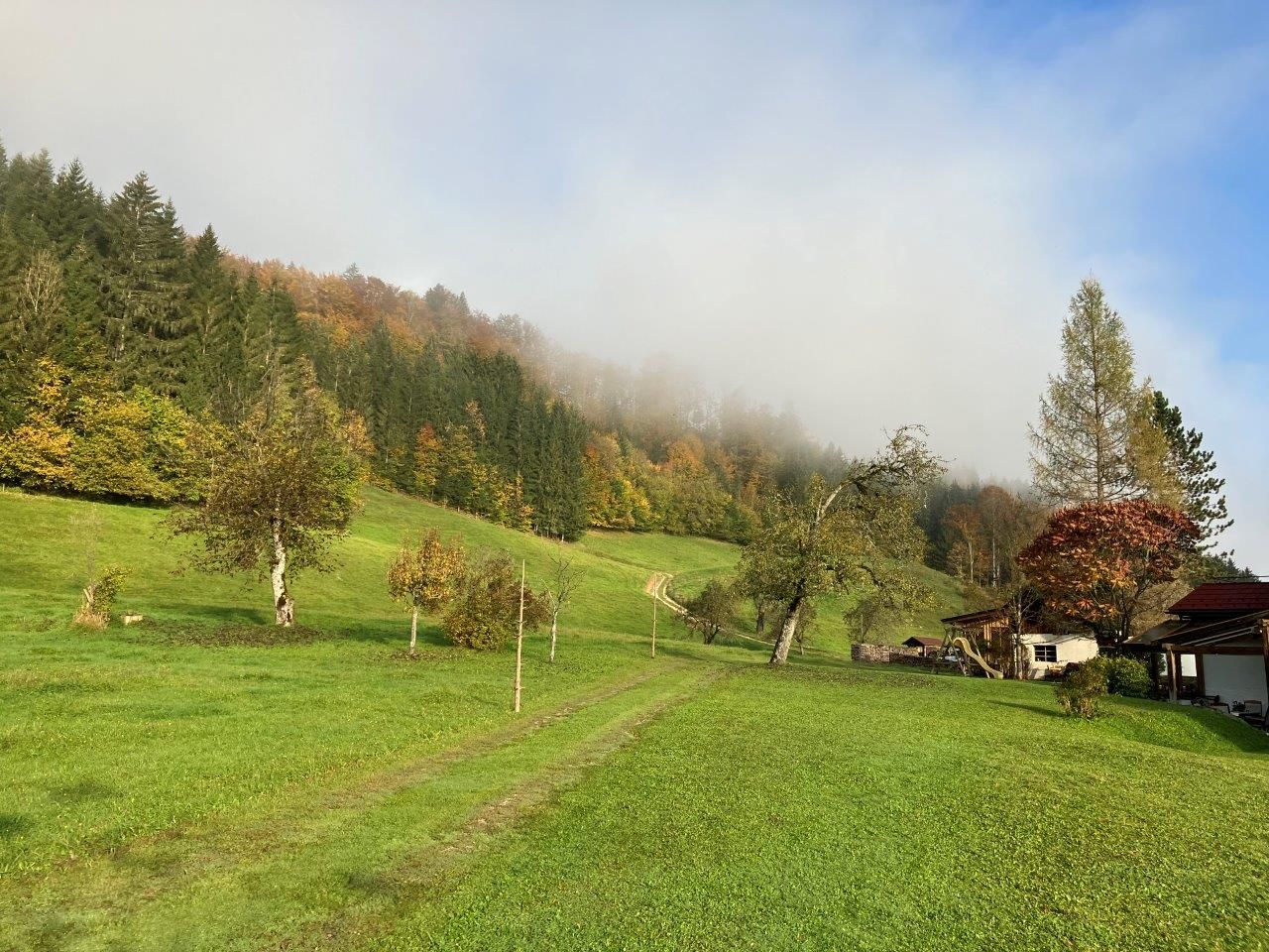 priestranná-záhrada-v-pred-domom-na-dovolenku