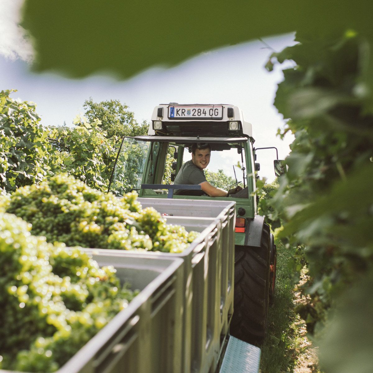 S traktorom vo vinici