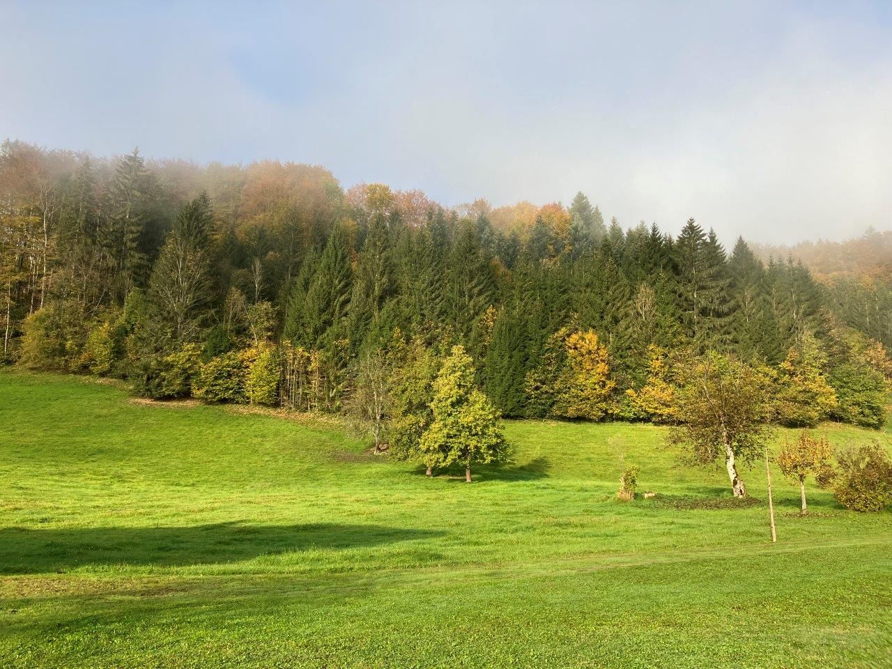 priestranná-záhrada-v-pred-domom-na-dovolenku