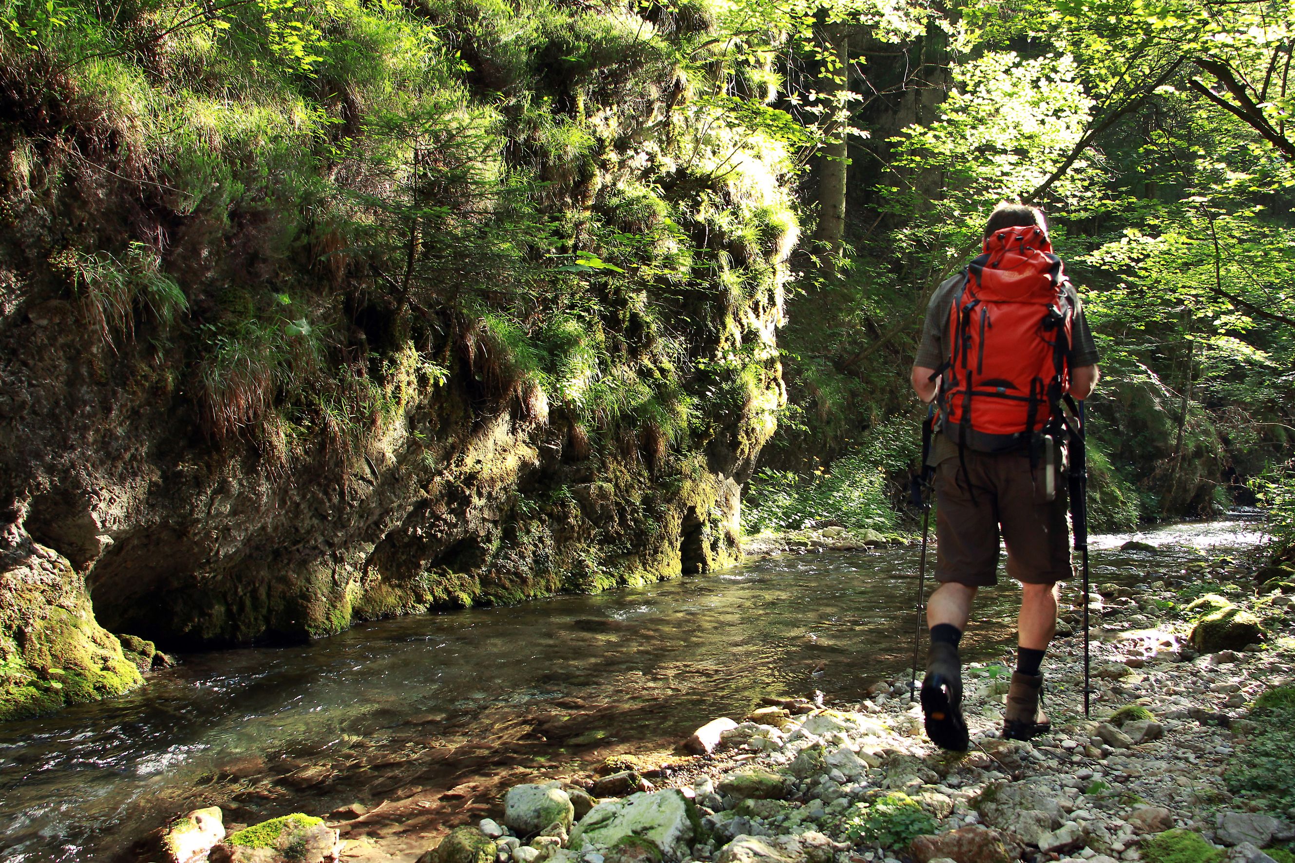 Turista s červeným batohom v zelenej rokline pri potoku.