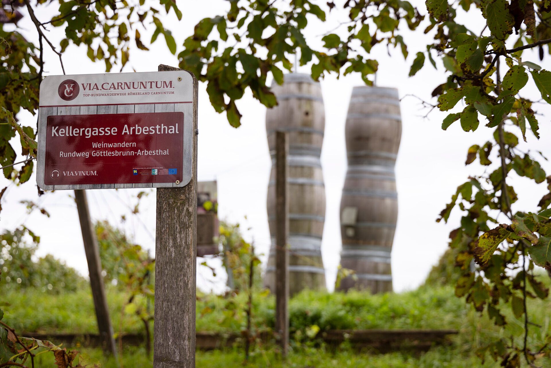 Zelený vinohrad a turistická značka s nápisom "Vínne uličky Arbesthal". 