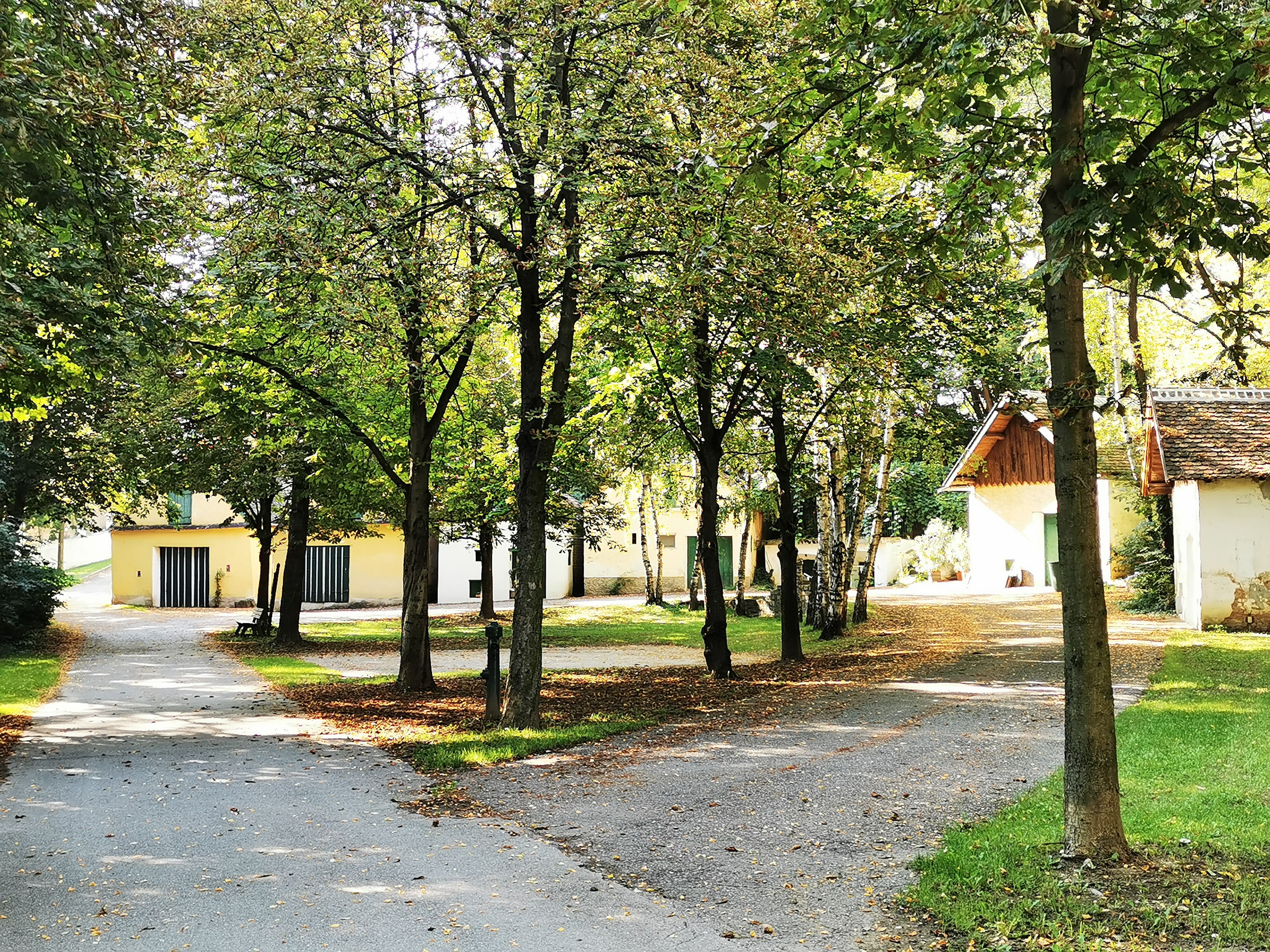 Tichý park so stromami a malými budovami v pozadí.