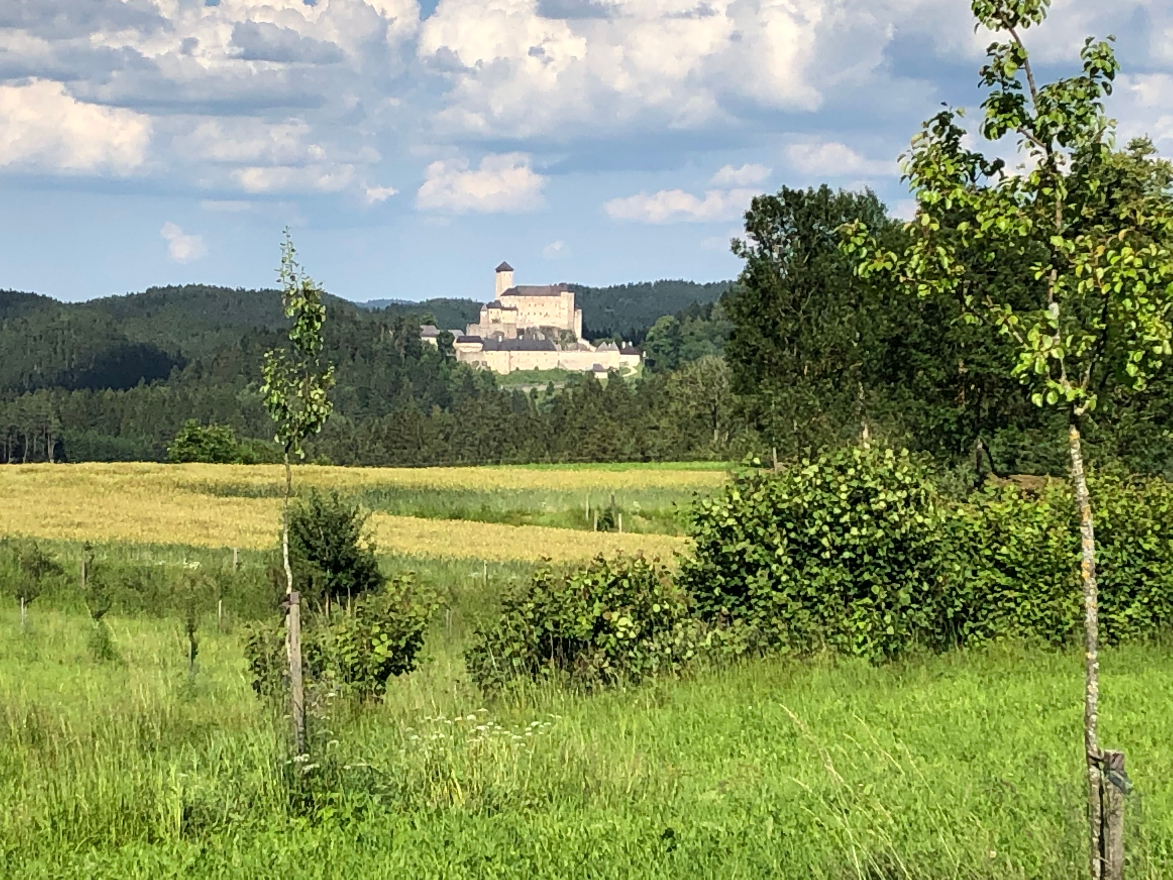 Pohľad na hrad