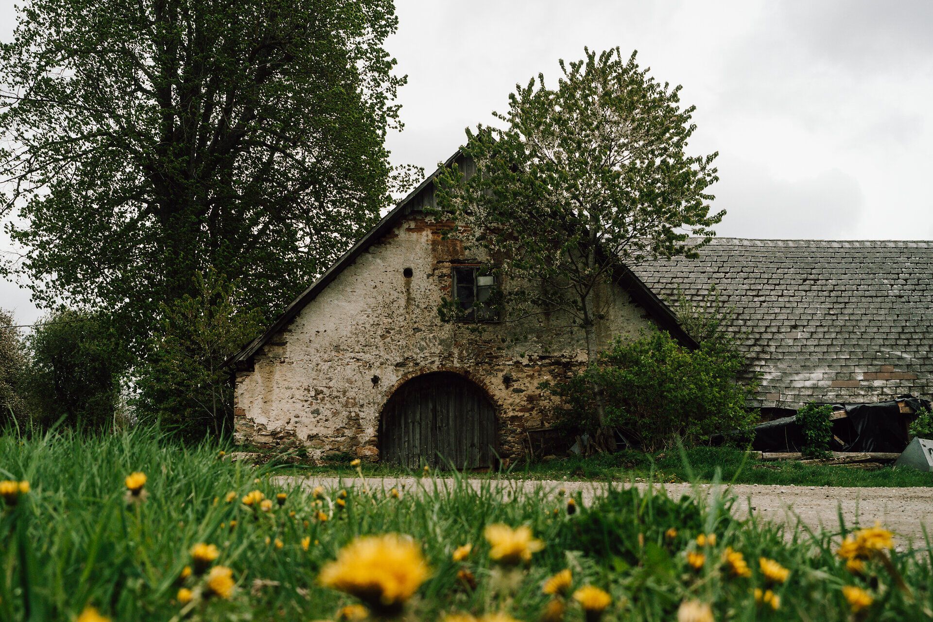 Starý statok obklopený sviežou zeleňou a kvitnúcimi púpavovými lúkami vyžaruje príťažlivý pokoj. Mierne kopce v pozadí pozývajú turistov na objavovanie krás prírody a vychutnávanie čerstvého vzduchu.