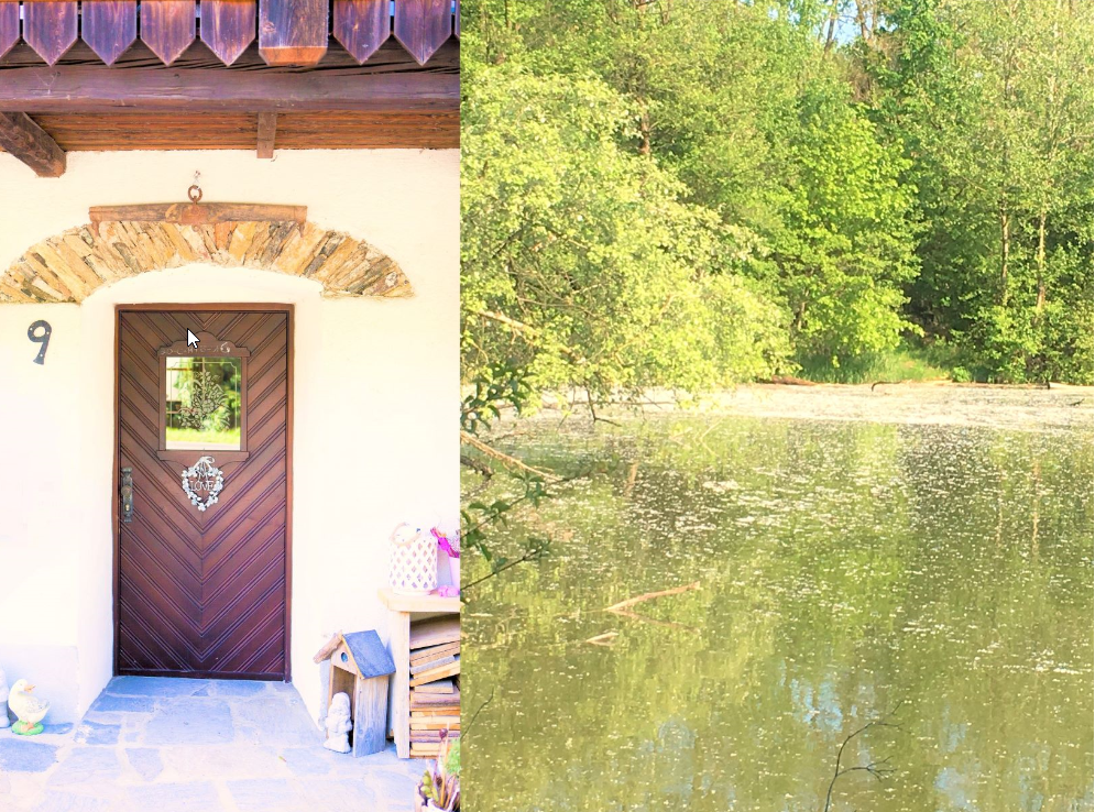 Predné dvere chaty číslo 9 pri rybníku so stromami.
