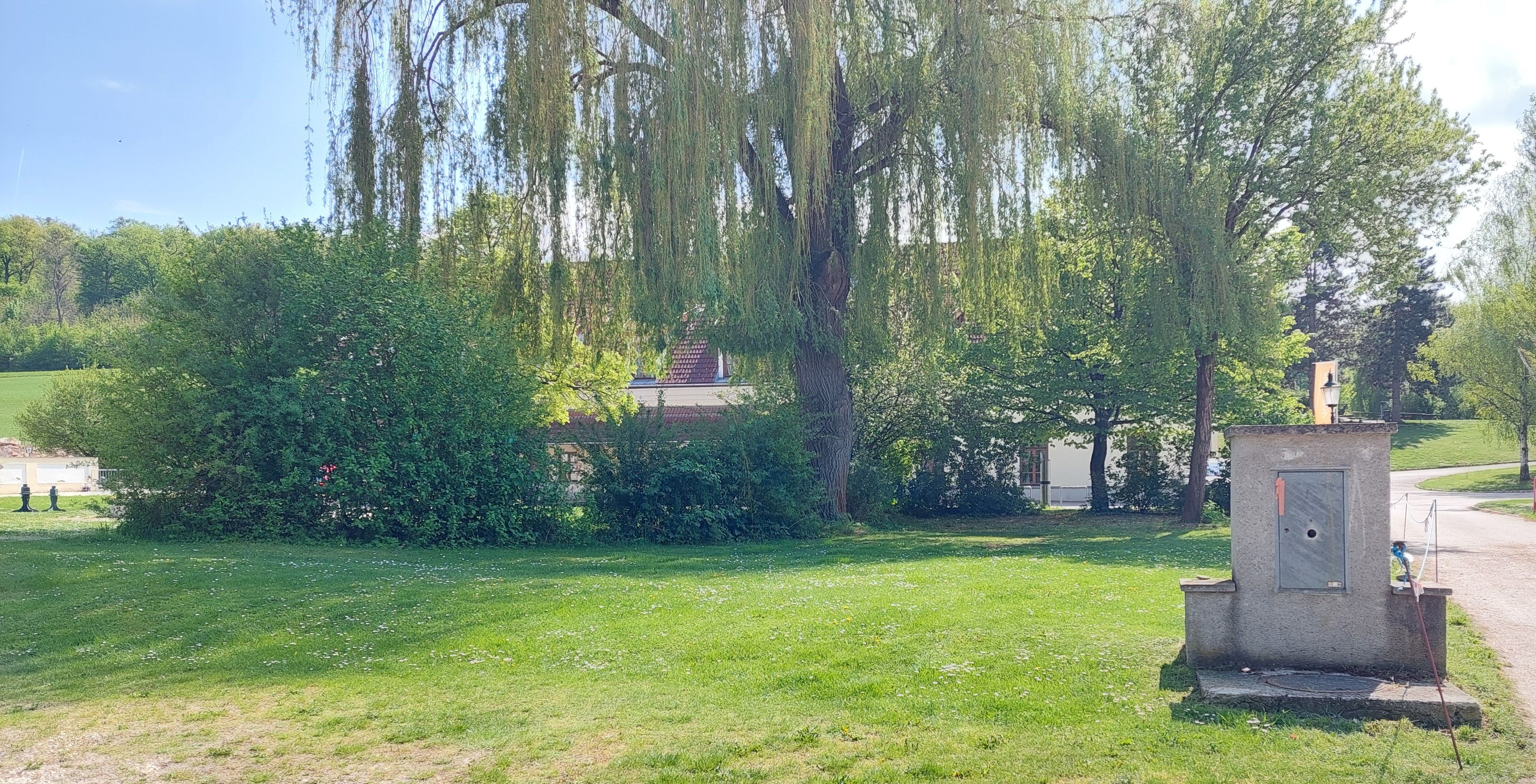 Zelená lúka so stromami a malou budovou v pozadí.