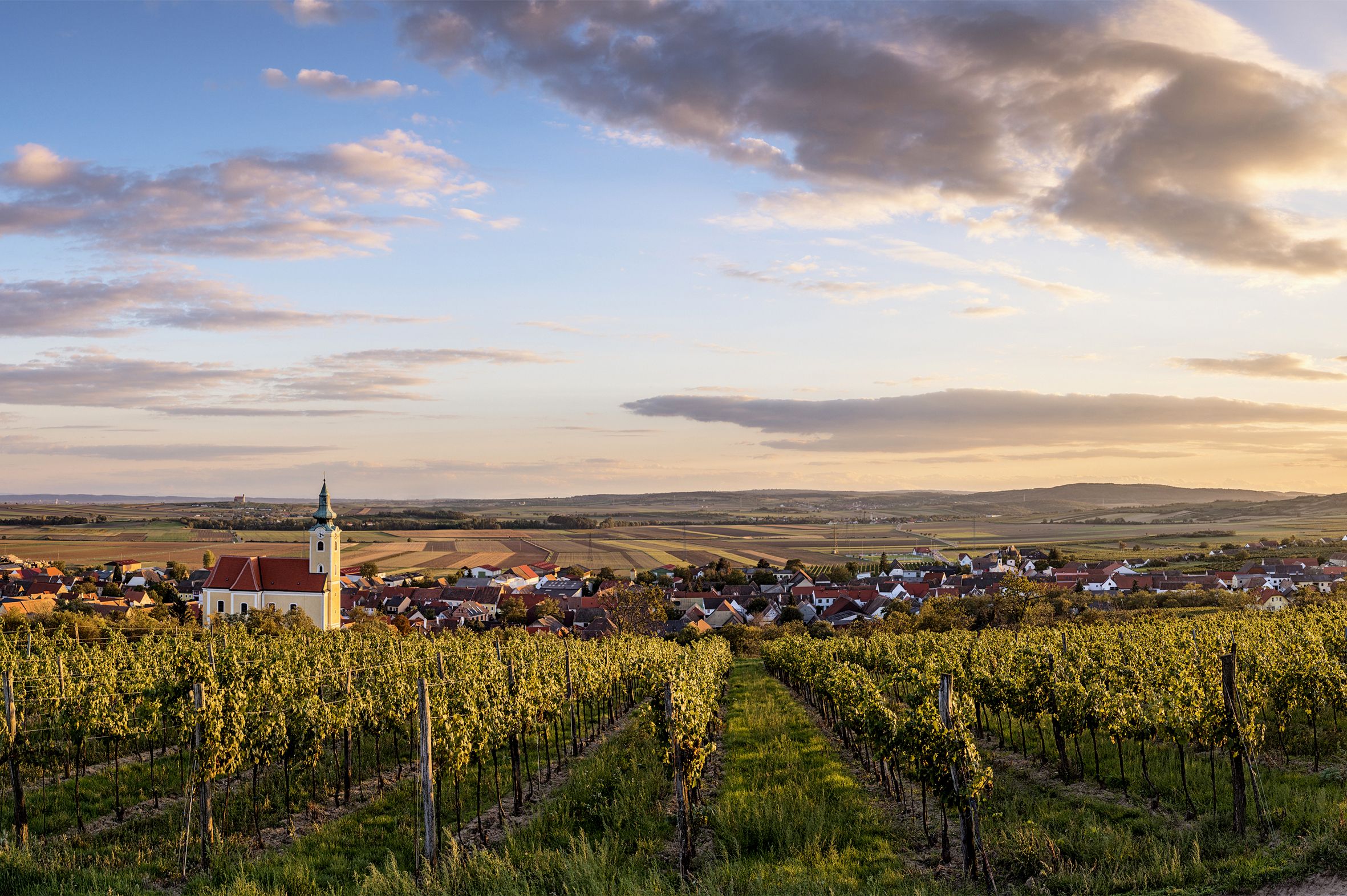 Pohľad na Röschitz s kostolom a vinicami v popredí pri západe slnka.