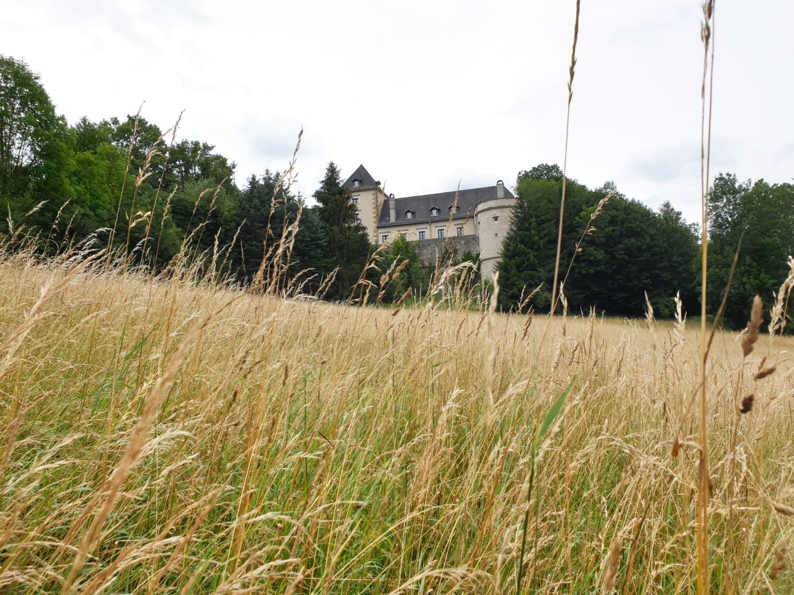 Hrad Neuhaus
